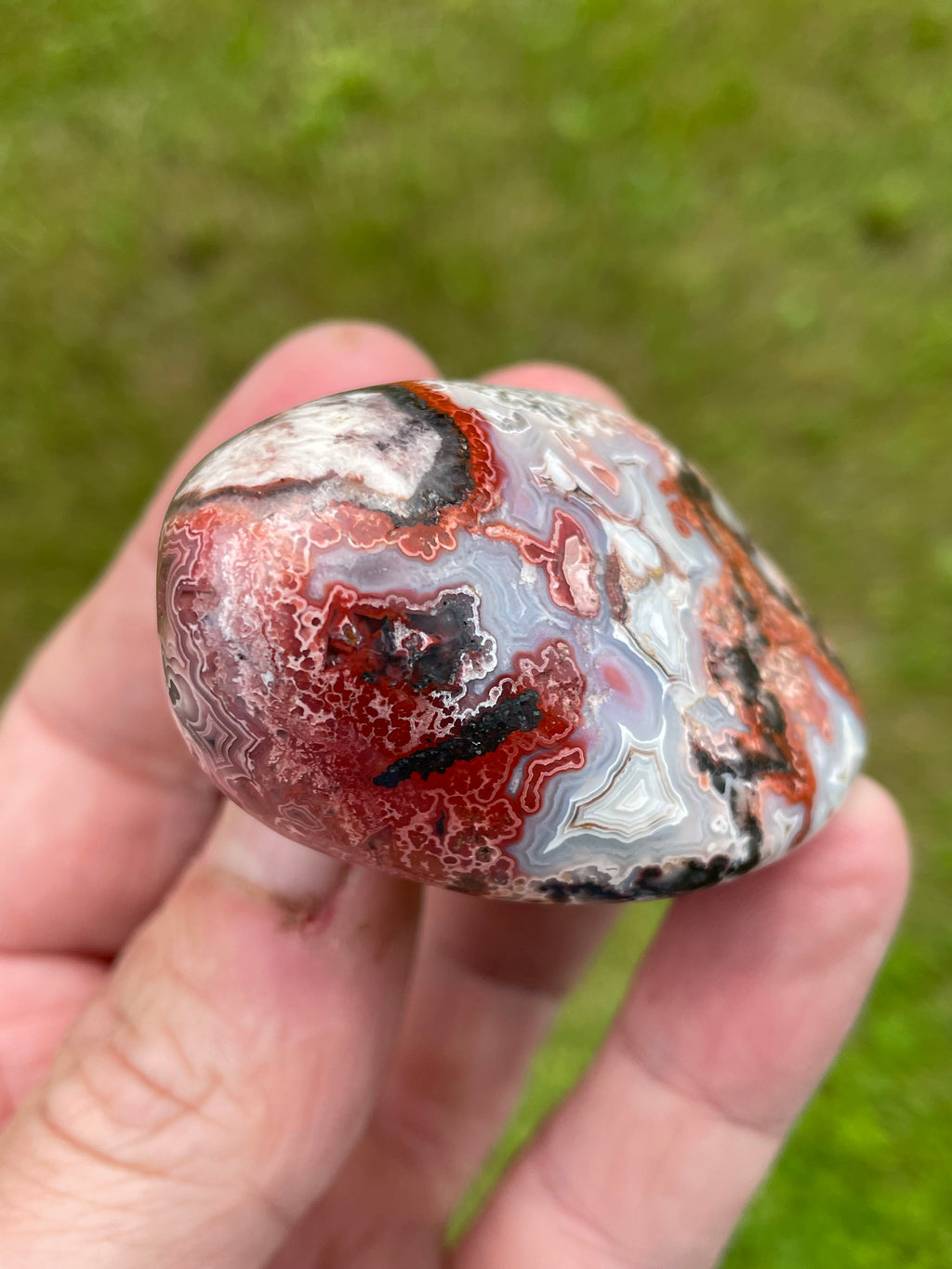 StoneBorn Creations Hand-Polished Lace Agate Freeform with Crimson Fortification Banding, Natural Druzy Cavities, and Intricate Orbicular Patterns