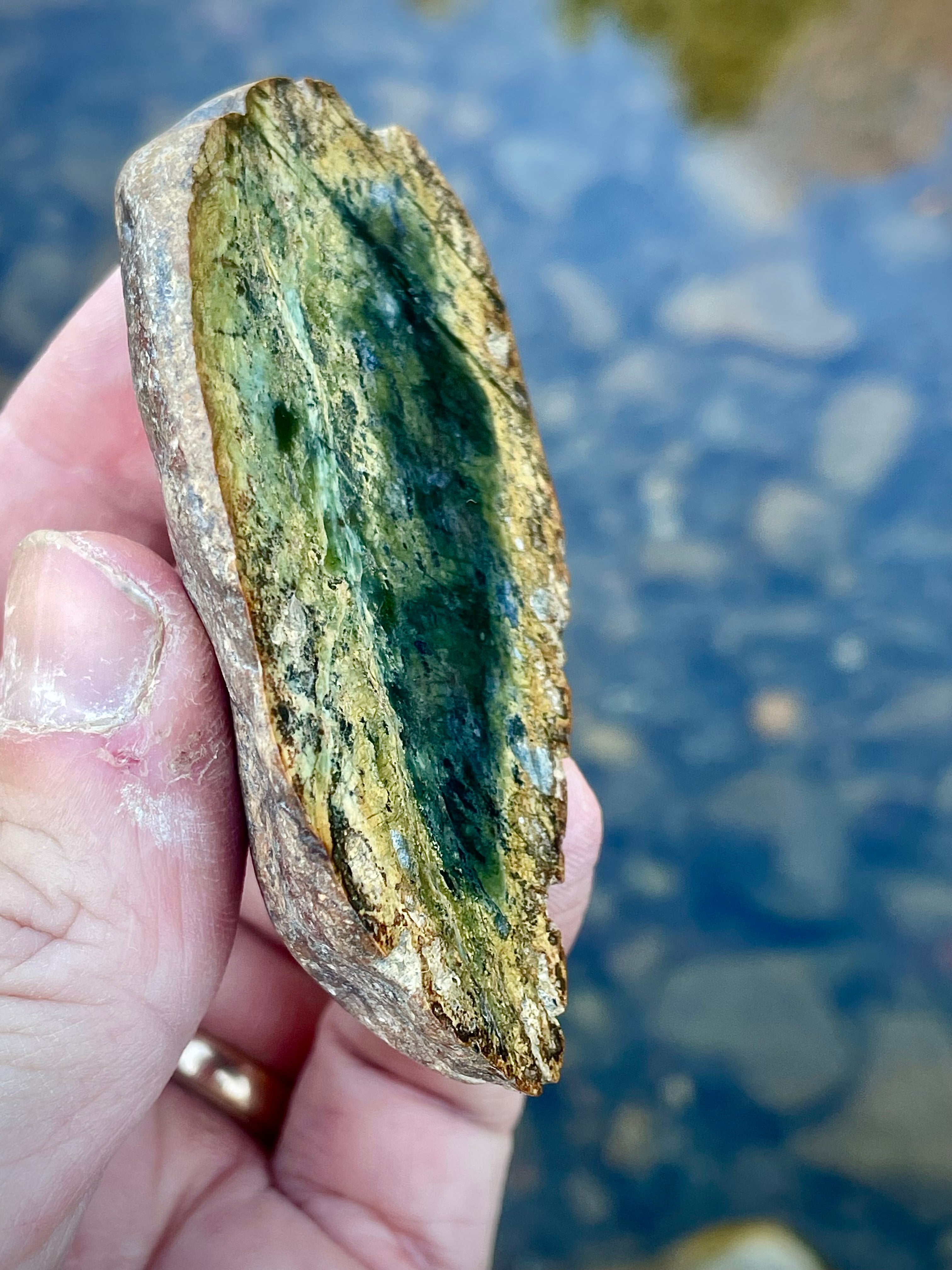 Polished Serpentine Slice • Deep Green “Inner Chamber” With Golden Halo