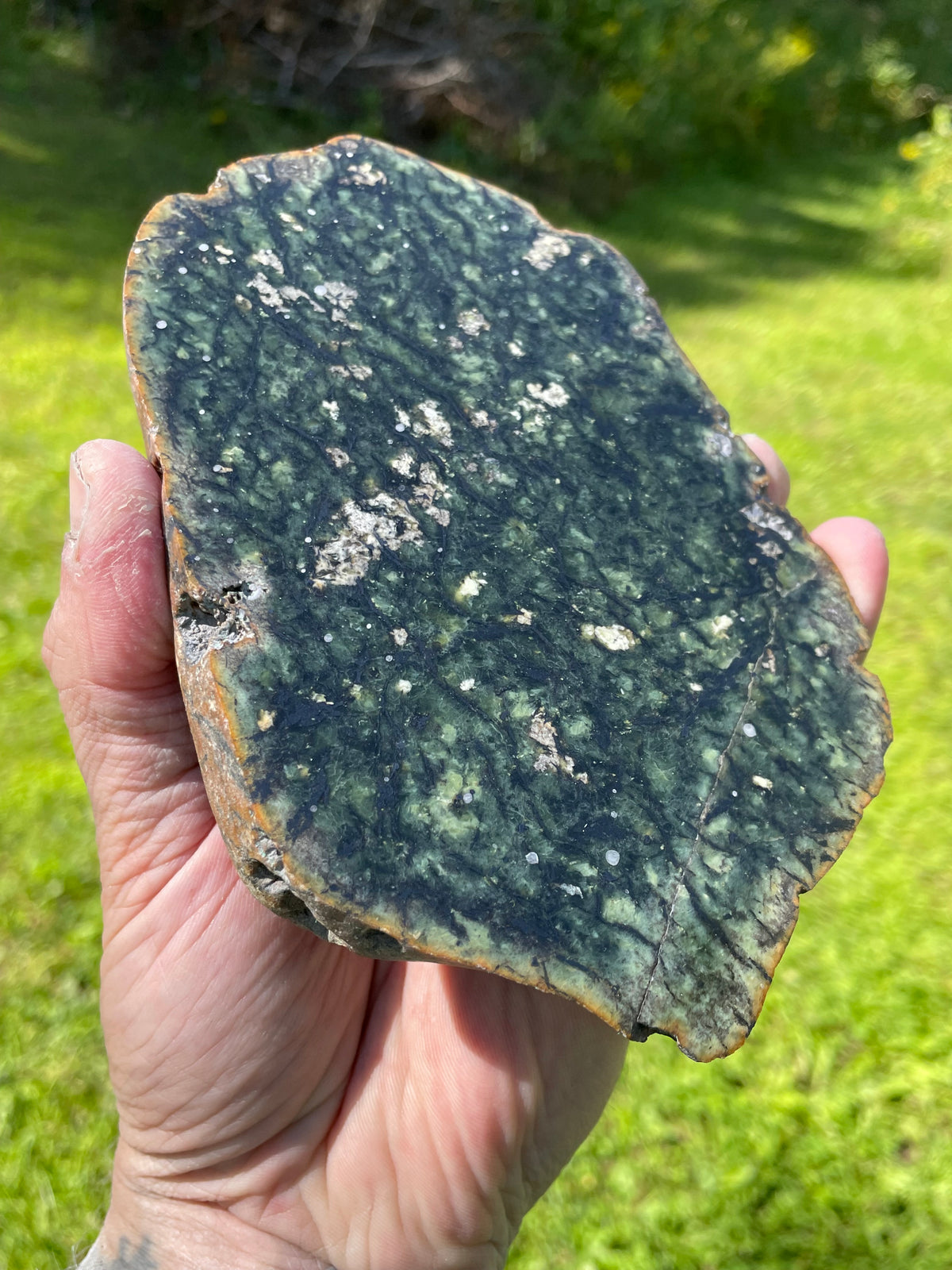 StoneBorn Creations Hand-Polished Vermont Greenstone Freeform