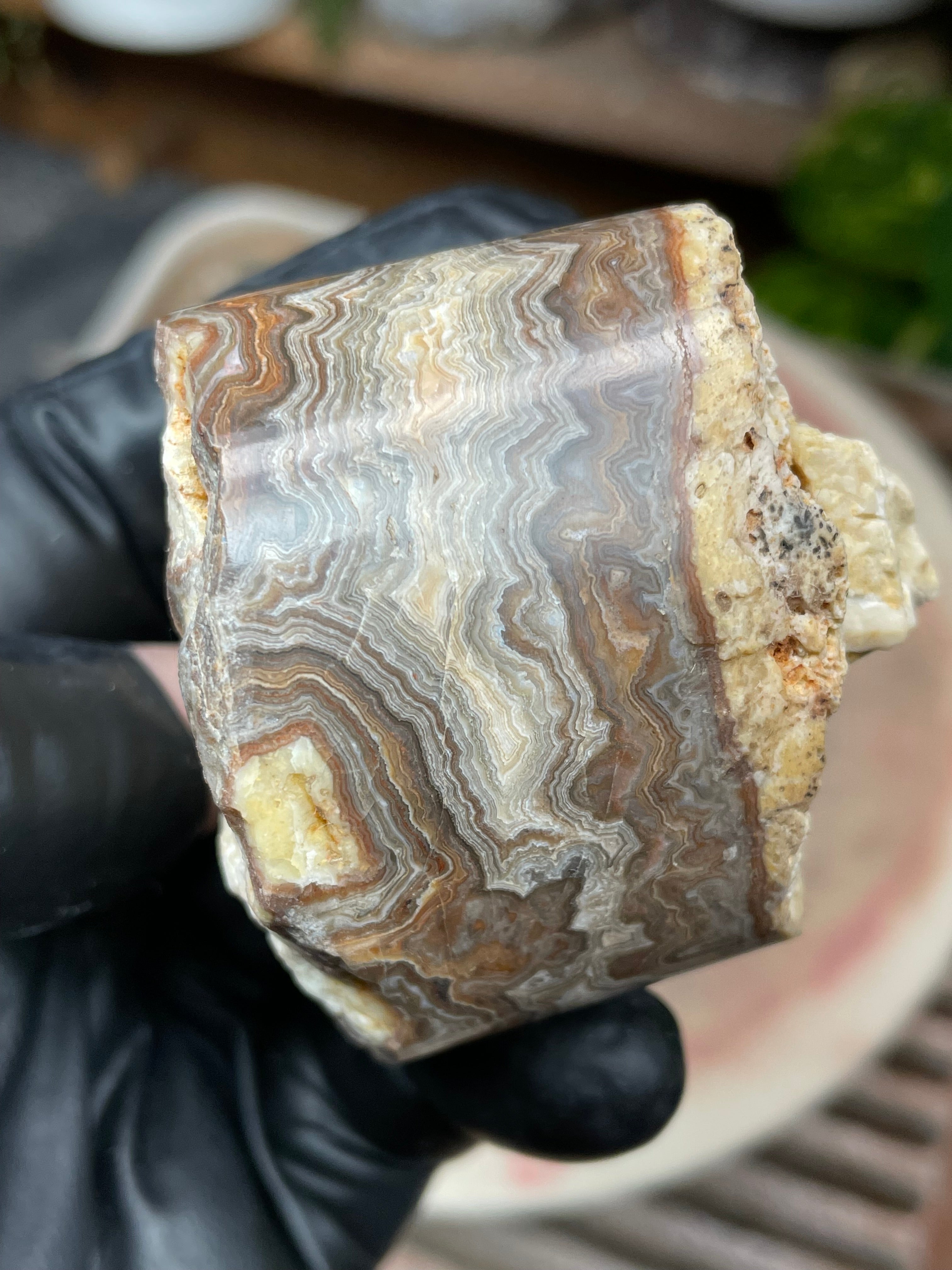 StoneBorn Creations Hand-Polished Banded Lace Agate with Natural Raw Top and Base – Intricate Earth-Toned Banding Freeform Finish