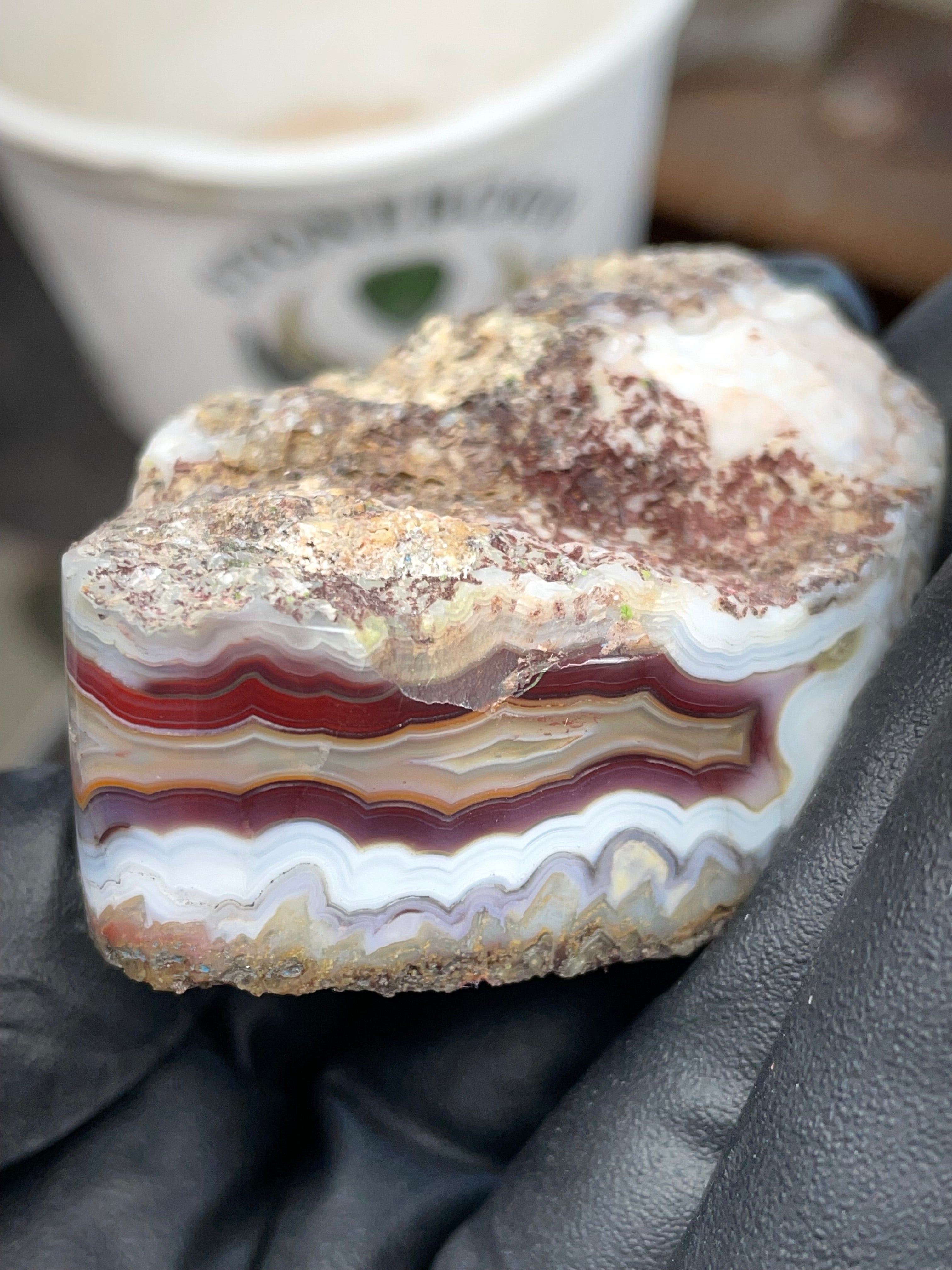 StoneBorn Creations – Hand-Collected & Hand-Polished Fortification Agate (Raw Top & Bottom)
