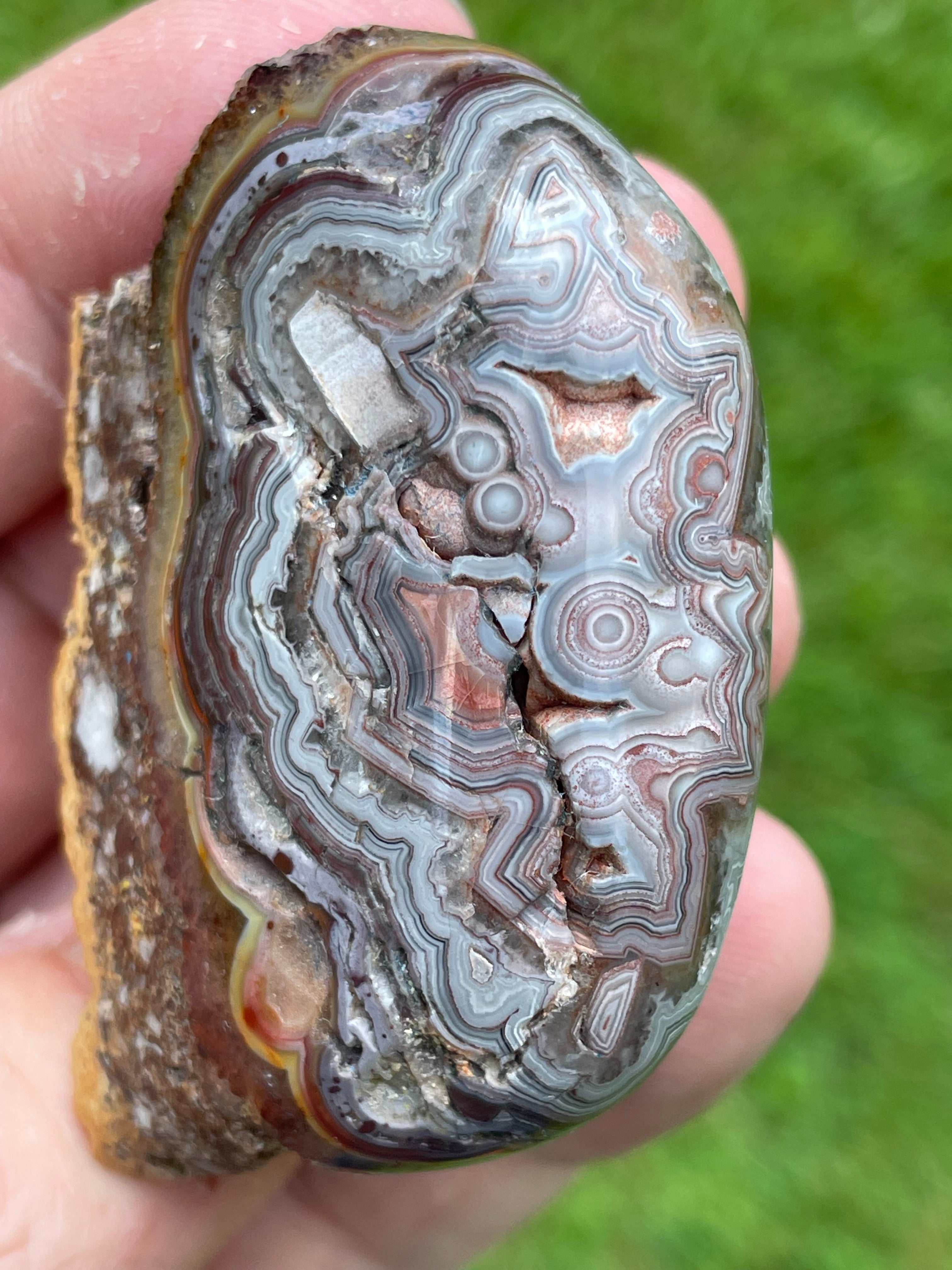 StoneBorn Creations Hand-Polished Custom Shaped Lace Agate Freeform with Natural Druzy Quartz, Orbicular Eyes & Fortification Banding