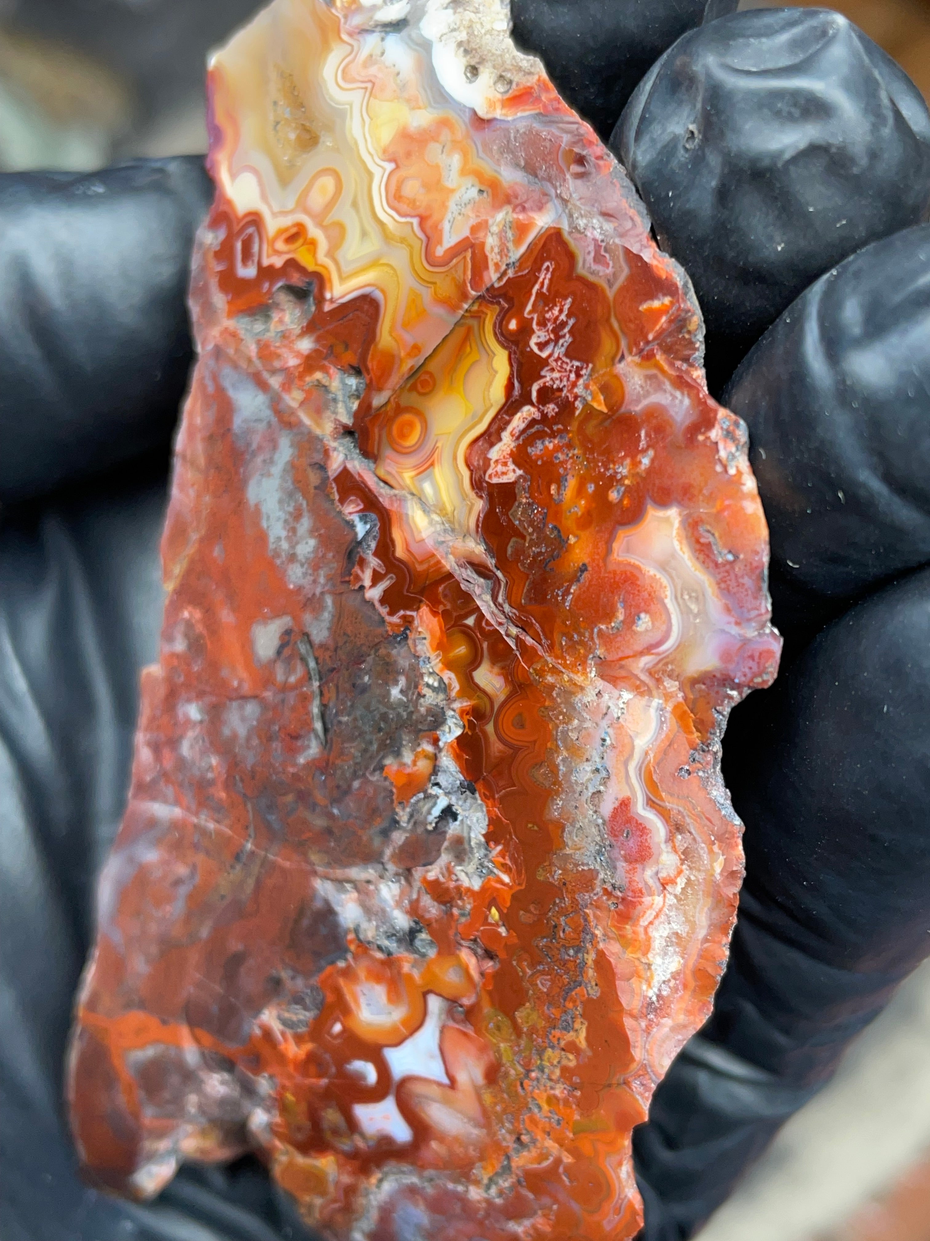 StoneBorn Creations — Hand-Polished Banded Agate (Curved Flat-Lap Polish)
