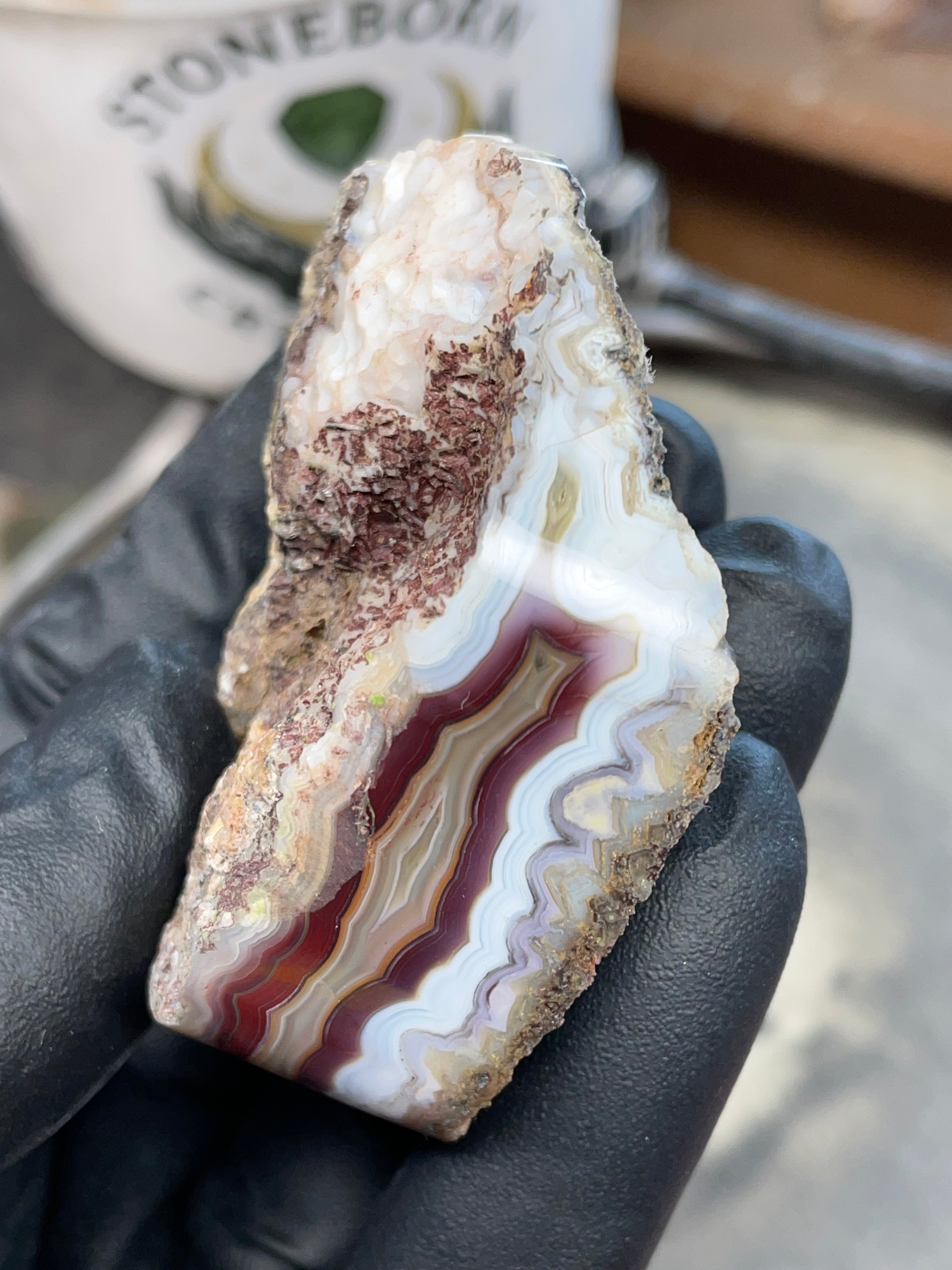 StoneBorn Creations – Hand-Collected & Hand-Polished Fortification Agate (Raw Top & Bottom)