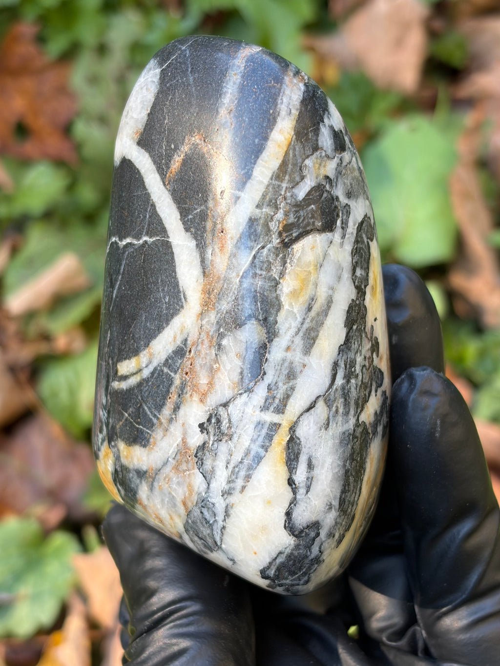 StoneBorn Creations Hand-Polished Vermont River Stone – Quartz Veins & Natural Iron Staining
