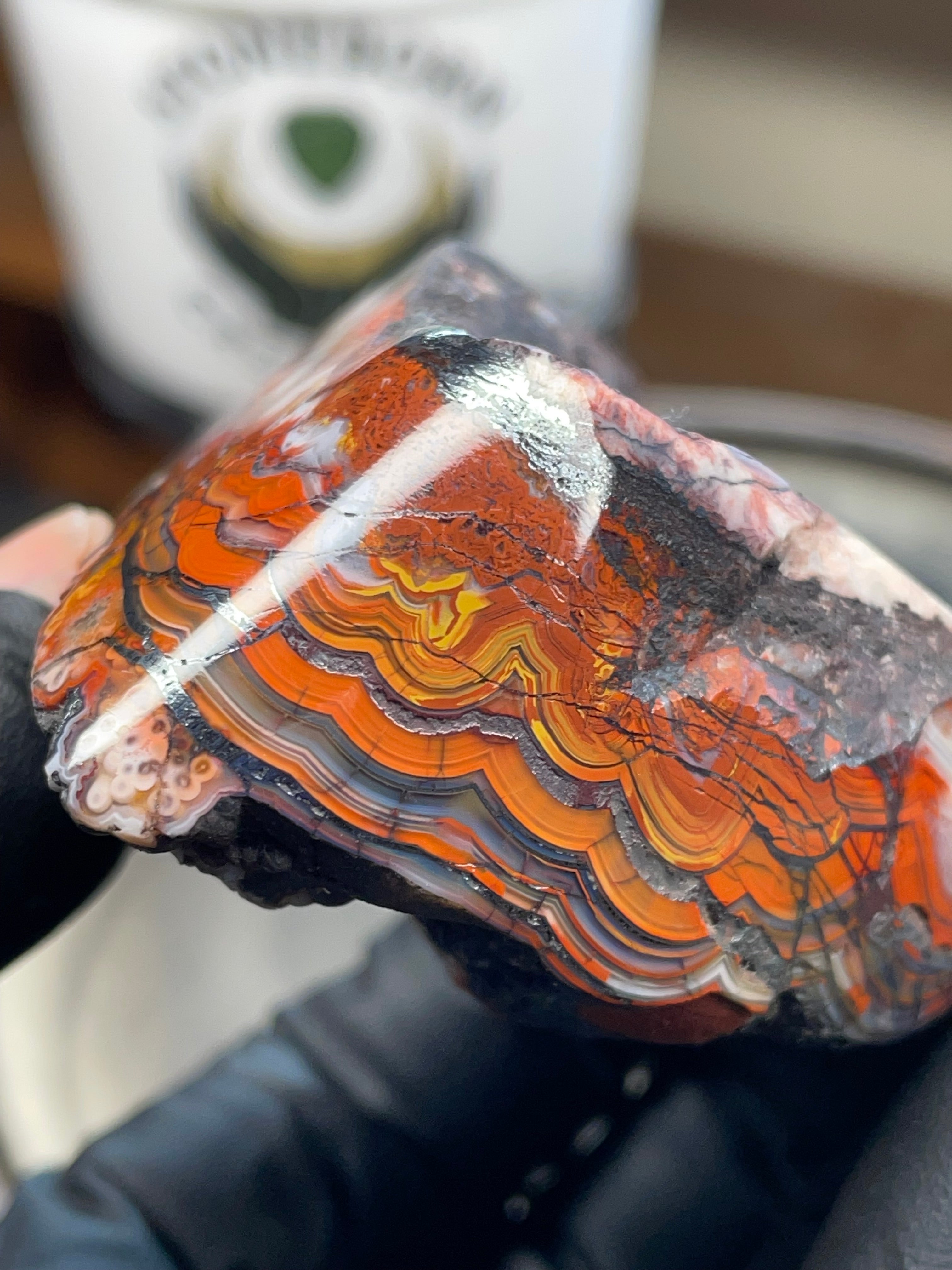 Hand Polished Banded Agate (Raw + Refined Edge)