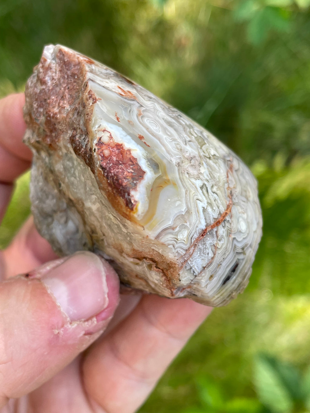 StoneBorn Creations Hand-Polished Lace Agate Freeform with Intricate Fortification Banding, Orbicular Eyes & Natural Druzy Quartz Pocket