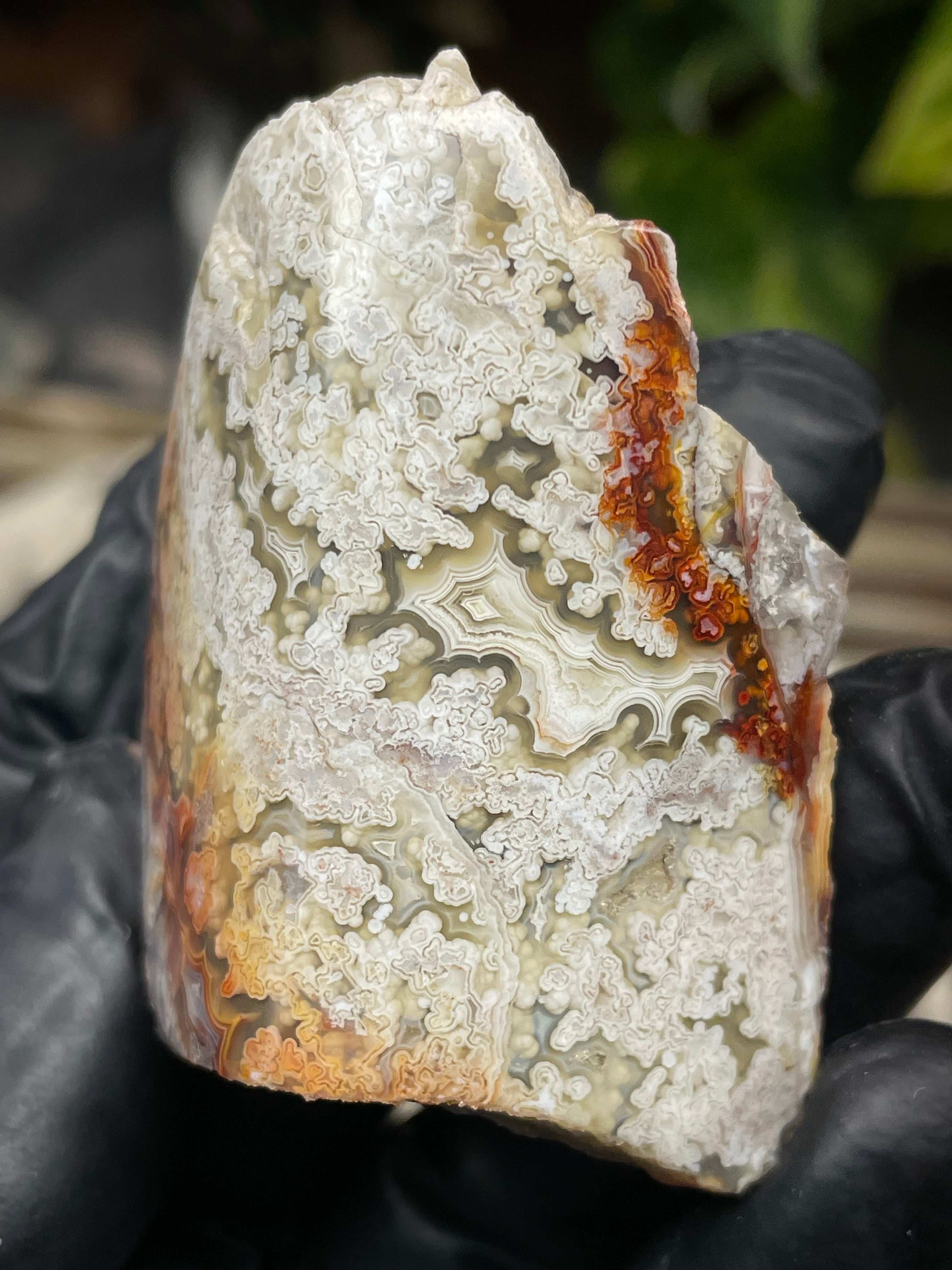 StoneBorn Creations Hand-Polished Lace Agate with Intricate White Plume Banding, Earth Tones & Natural Freeform Finish