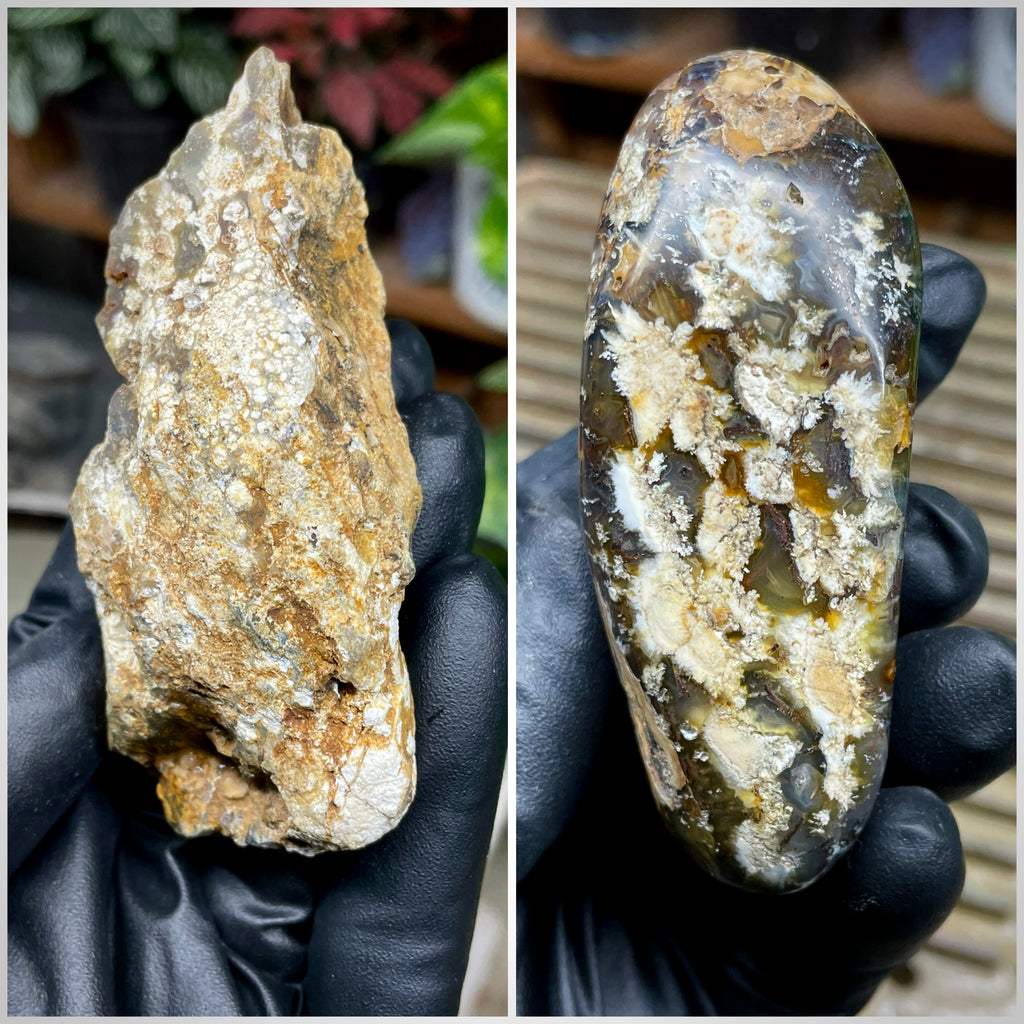 StoneBorn Creations Hand-Polished Trent Agate Freeform with Creamy Plume Inclusions, Druzy Cavities & Earth-Toned Chalcedony