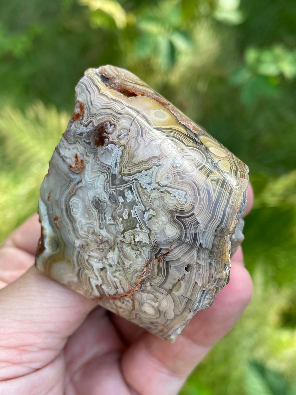 StoneBorn Creations Hand-Polished Lace Agate Freeform with Intricate Fortification Banding, Orbicular Eyes & Natural Druzy Quartz Pocket