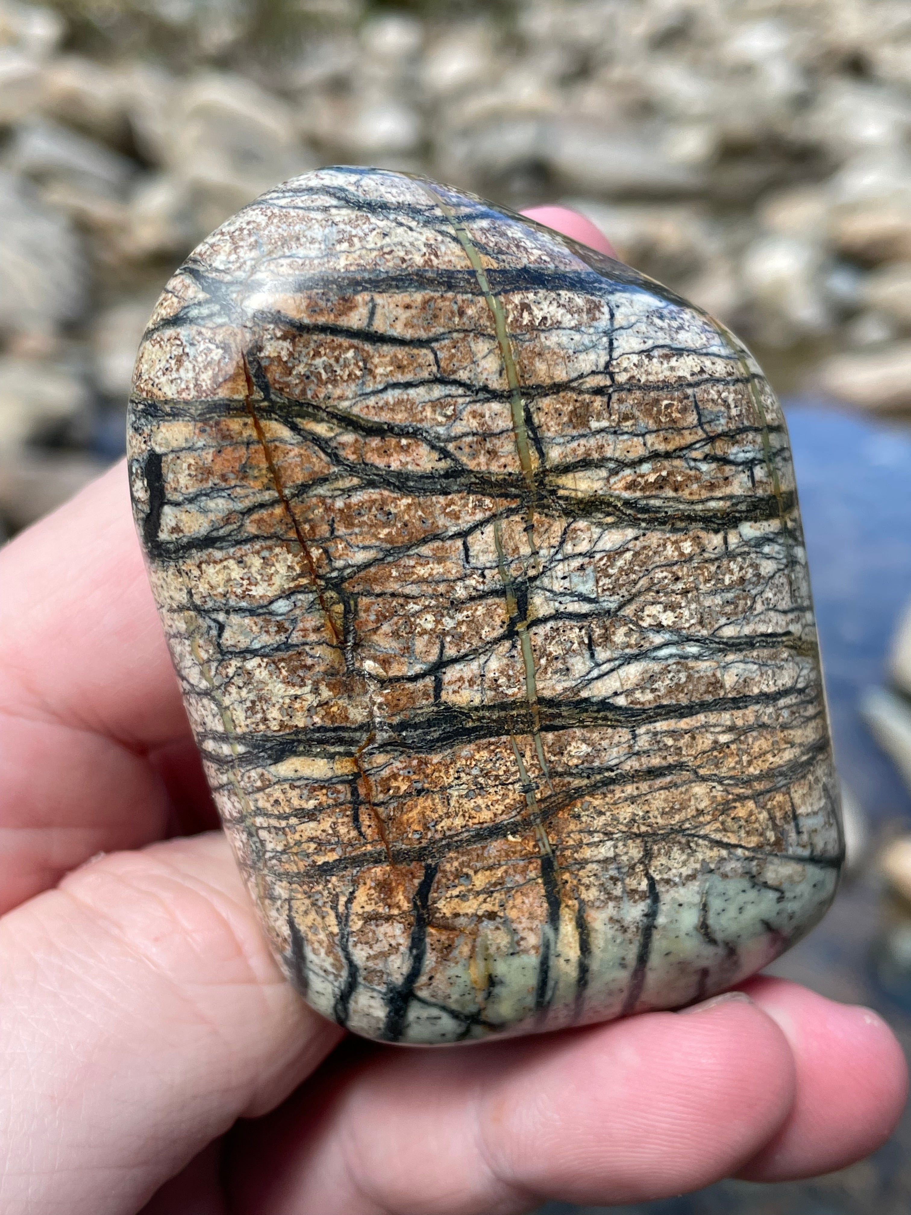 StoneBorn Creations Hand-Polished River Stone Freeform with Natural Black Webbing Patterns and Earthy Veining