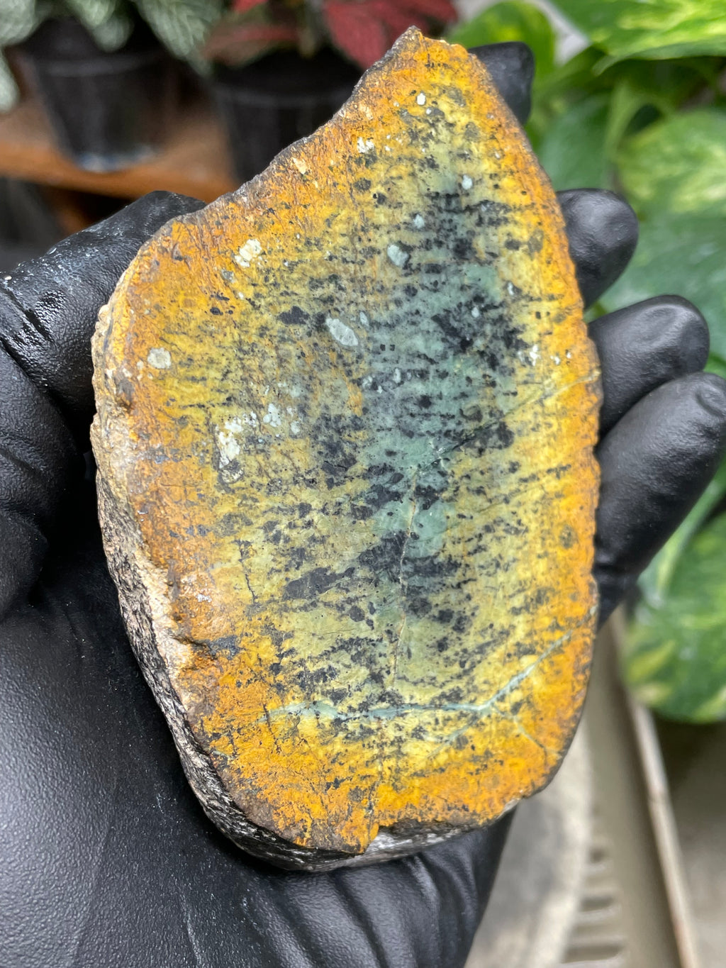 StoneBorn Creations Hand-Polished Vermont Greenstone Pair with Earthy Ochre Weathering and Natural Black Mineral Patterning – Freeform Display Halves