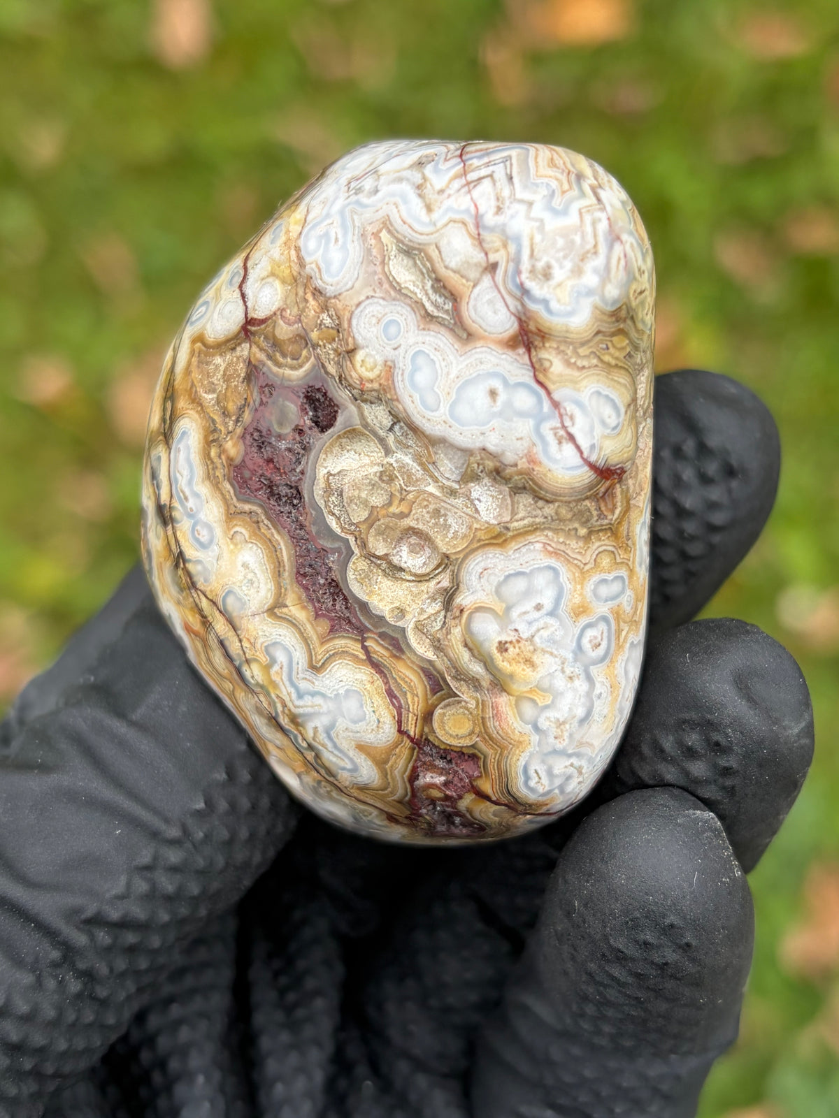 StoneBorn Creations – Crazy Lace Agate | Intricate Blue, Cream & Golden Banding | Hand-Polished Natural Stone