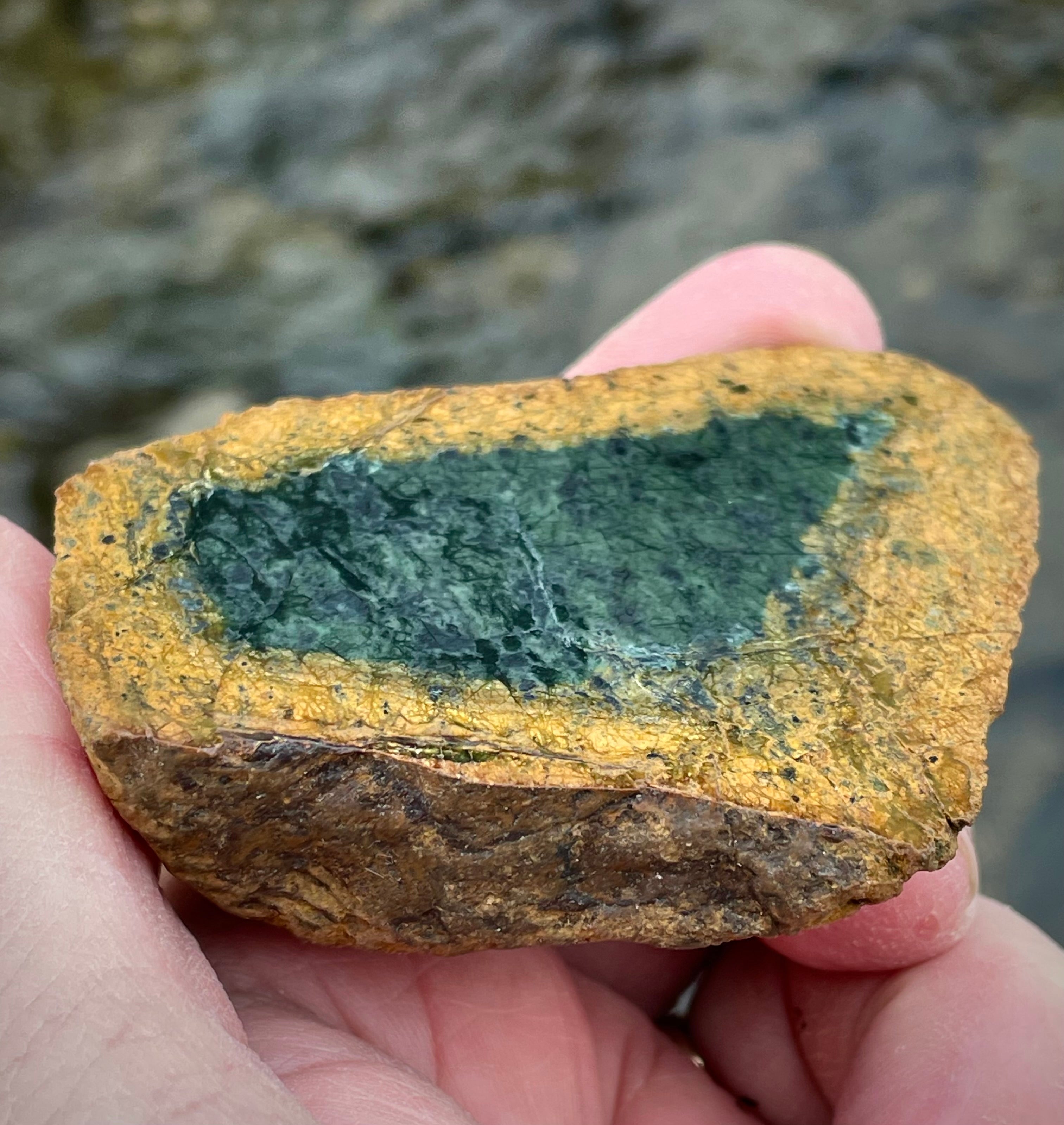 🌲 Vermont Green Serpentine Core Slice – Natural Golden Rind