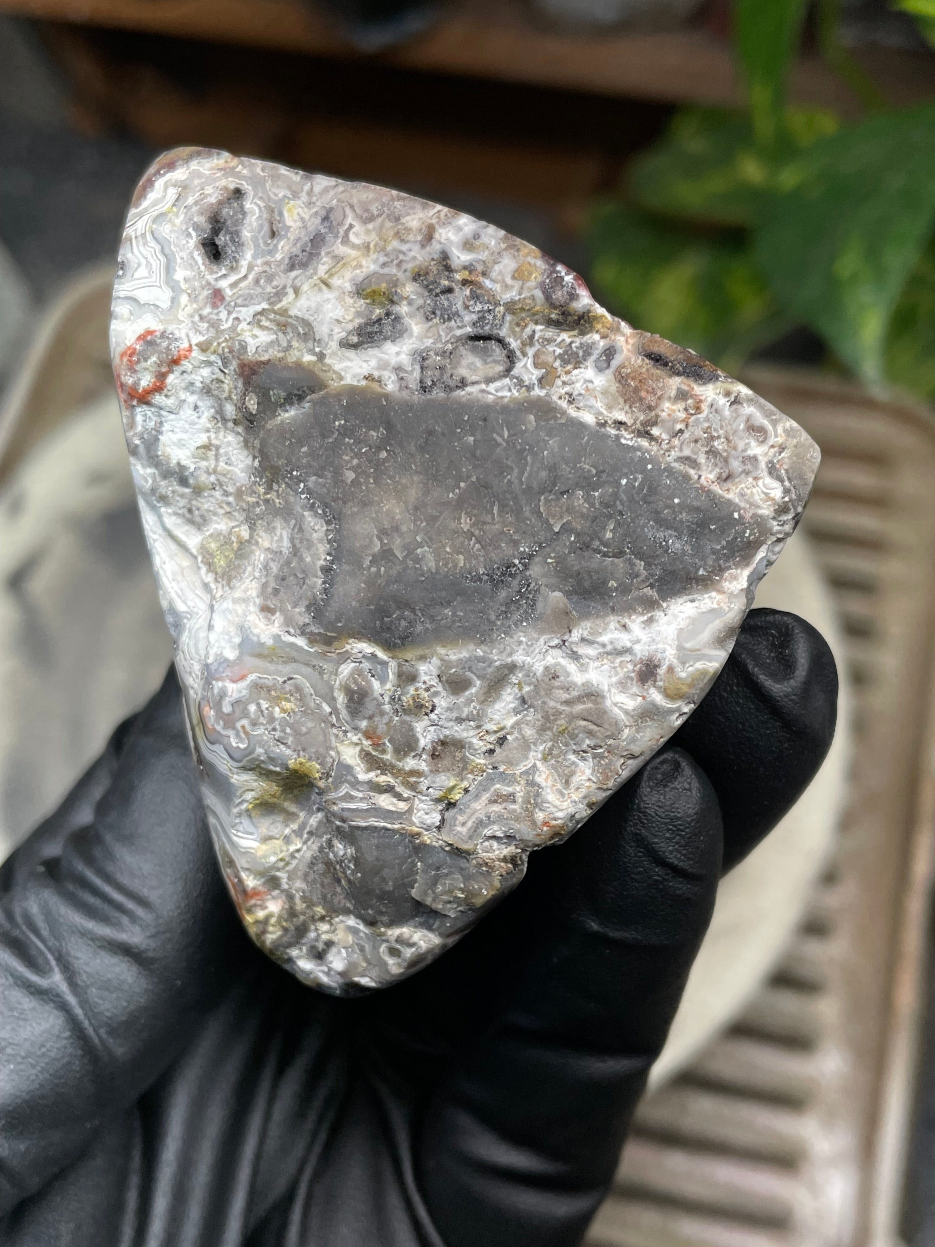 StoneBorn Creations Hand-Polished Agate Freeform with Raw Side & Crystal Pockets