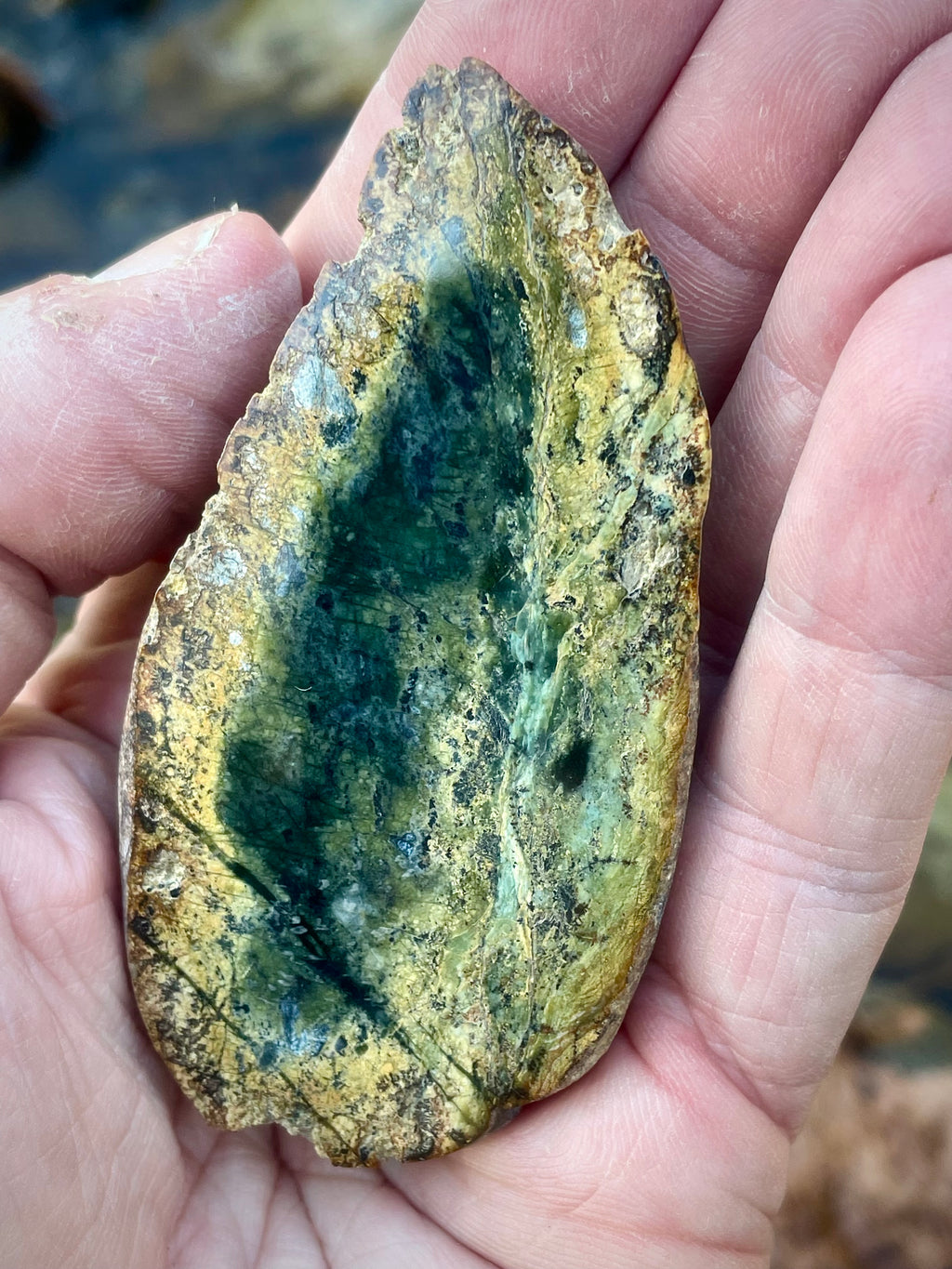 Polished Serpentine Slice • Deep Green “Inner Chamber” With Golden Halo