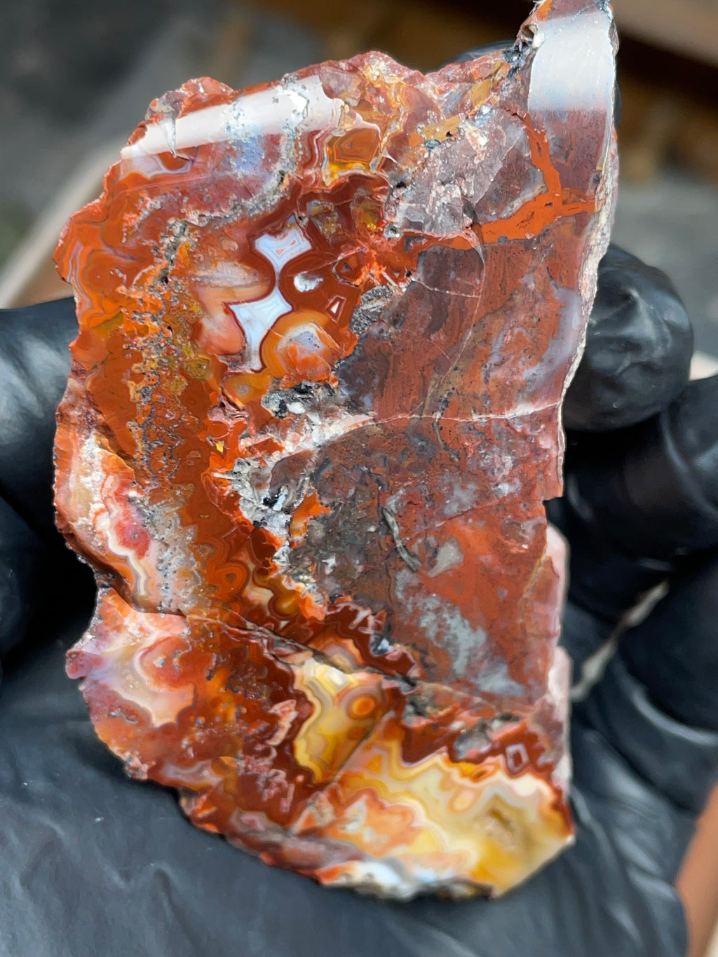 StoneBorn Creations — Hand-Polished Banded Agate (Curved Flat-Lap Polish)