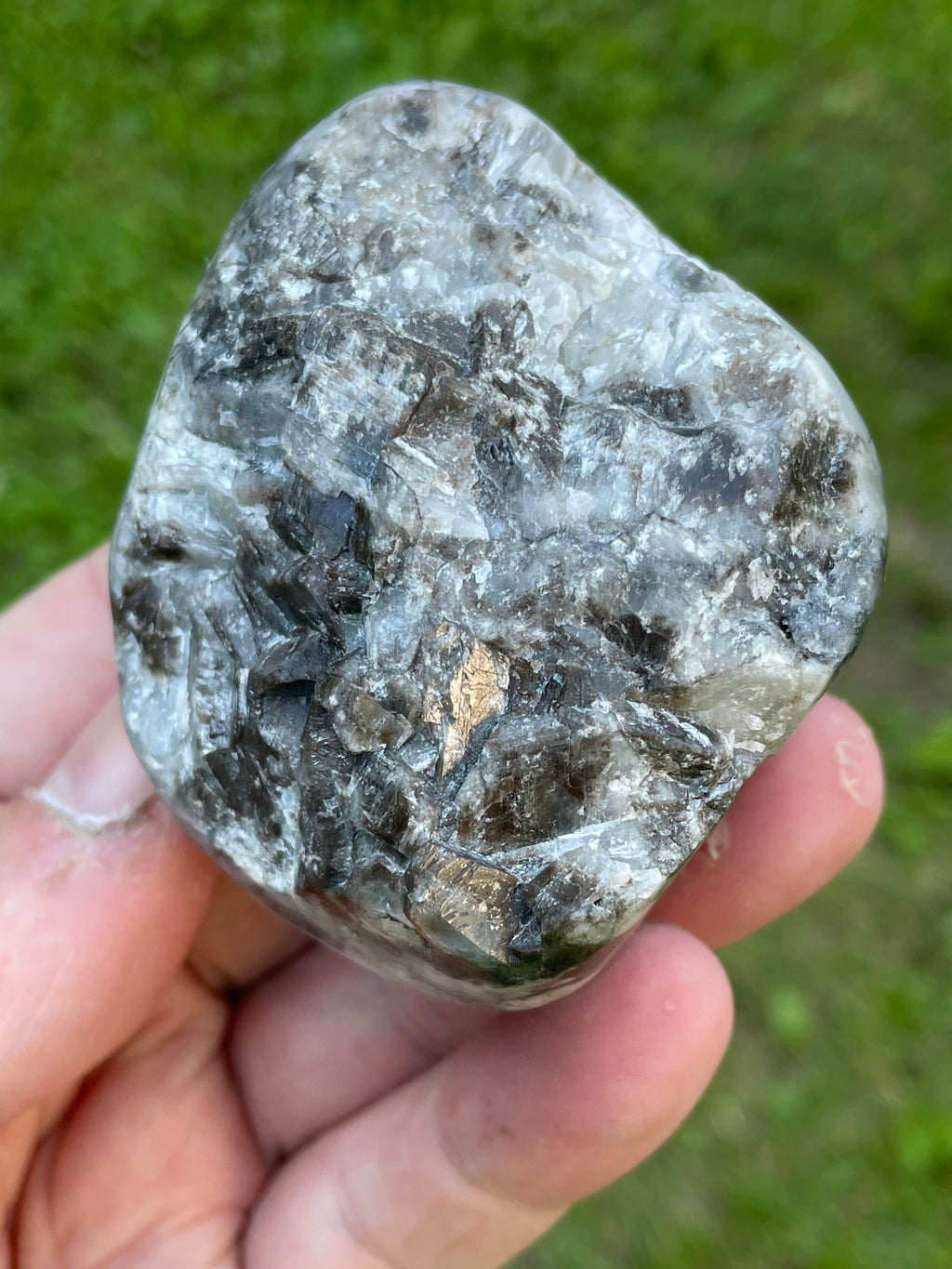 StoneBorn Creations Hand-Polished Lace Agate Freeform with Intricate Fortification Banding, Orbicular Eyes, Natural Matrix & Curved Display Face