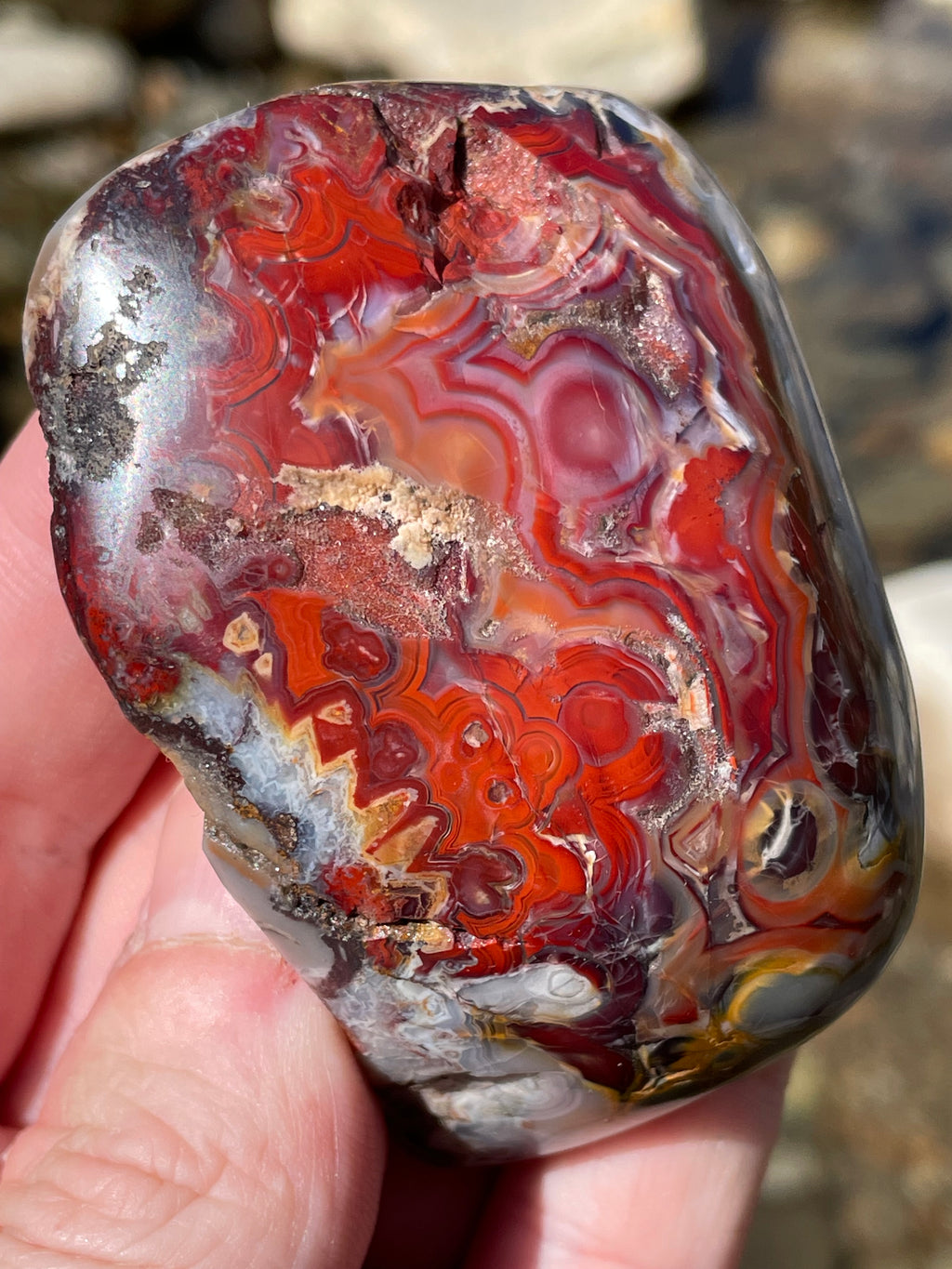 StoneBorn Creations Hand Polished Lace Agate Freeform with Fiery Crimson Banding and Natural Raw Backing
