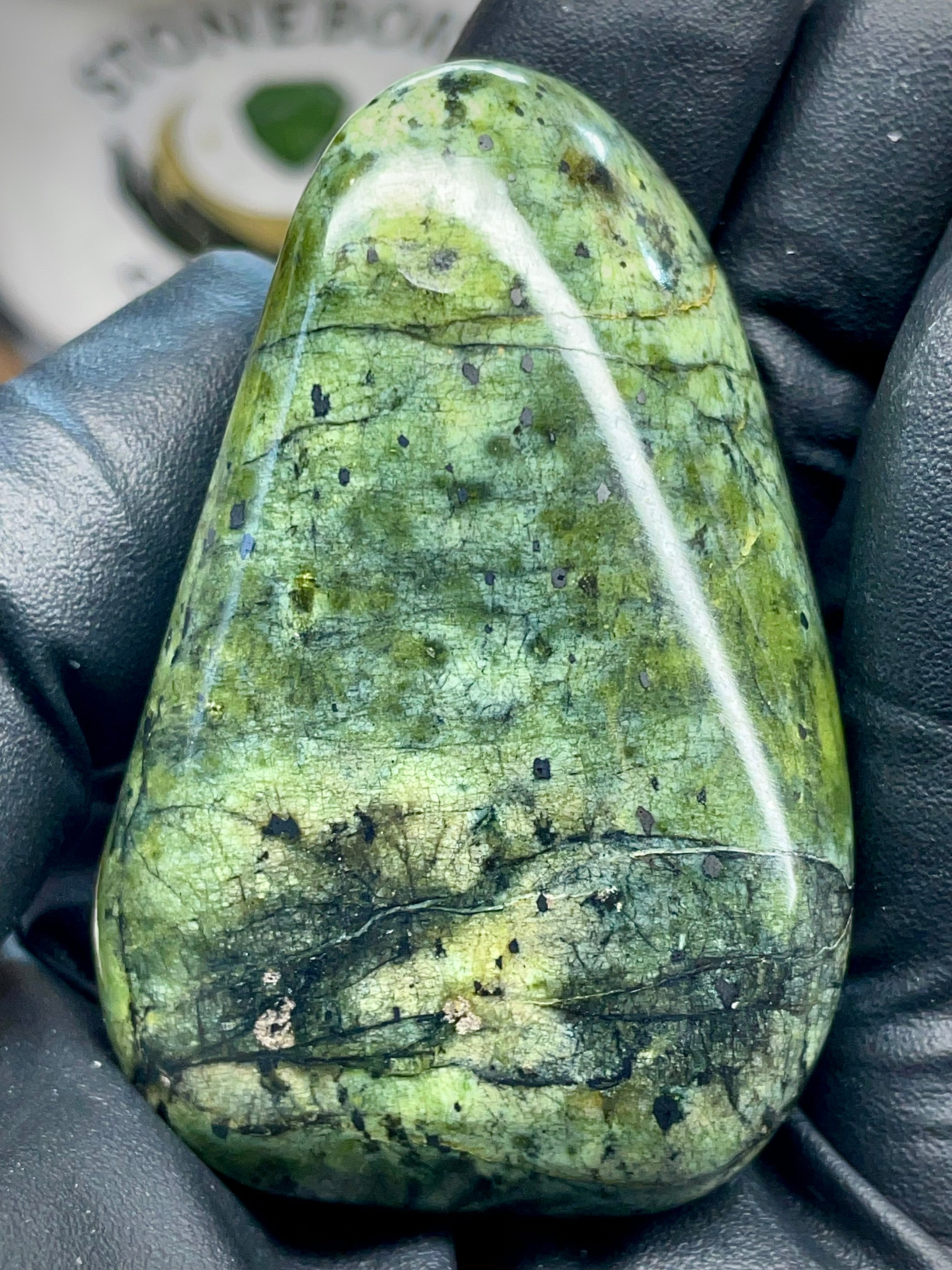 Hand-Polished Green Serpentine Freeform | StoneBorn Creations