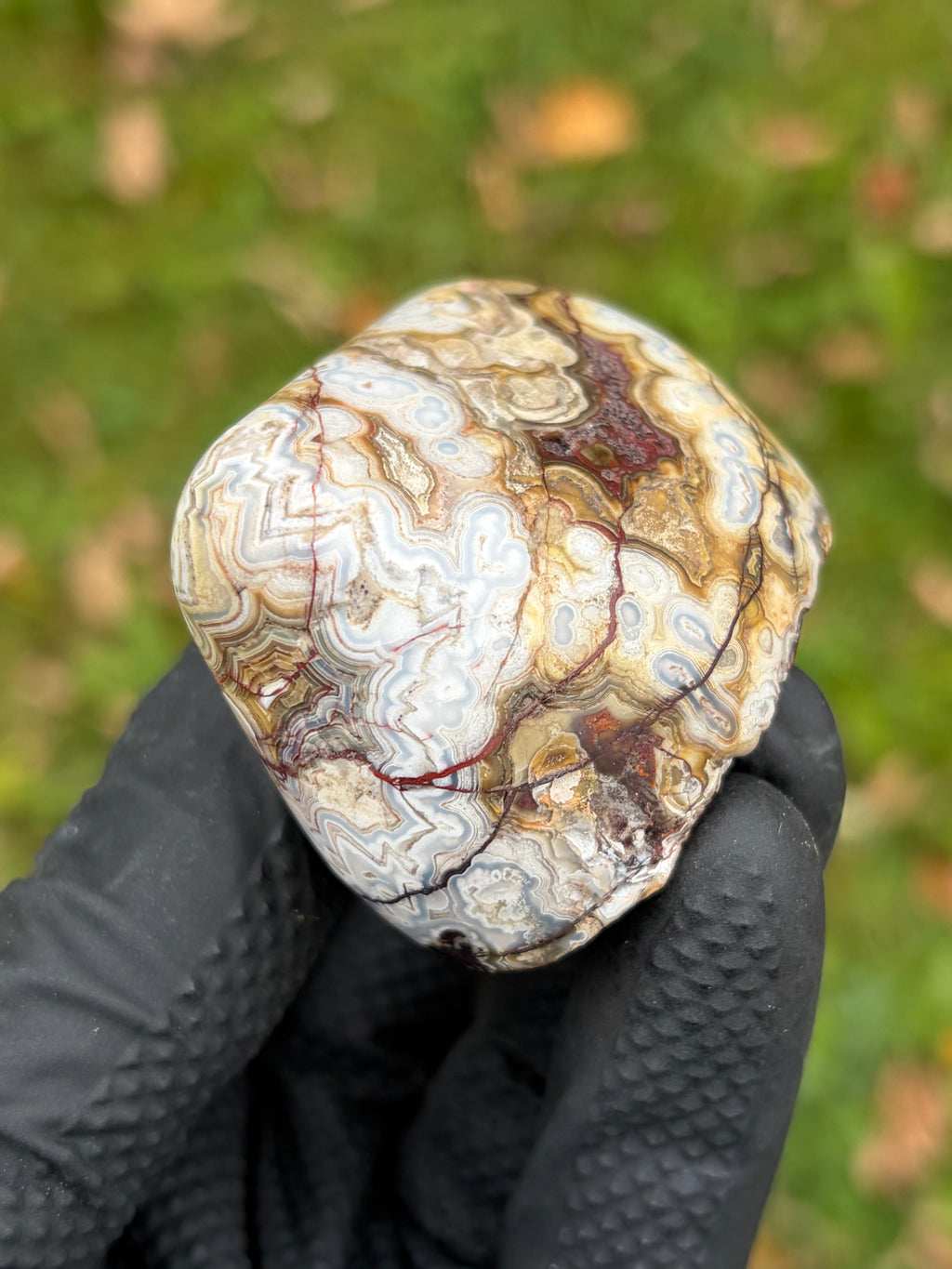 StoneBorn Creations – Crazy Lace Agate | Intricate Blue, Cream & Golden Banding | Hand-Polished Natural Stone