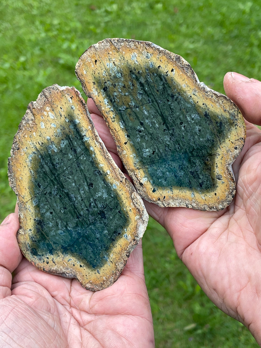 StoneBorn Creations – Deep Green Serpentine Stone Pair | Natural Matching Halves with Golden Earth Tones
