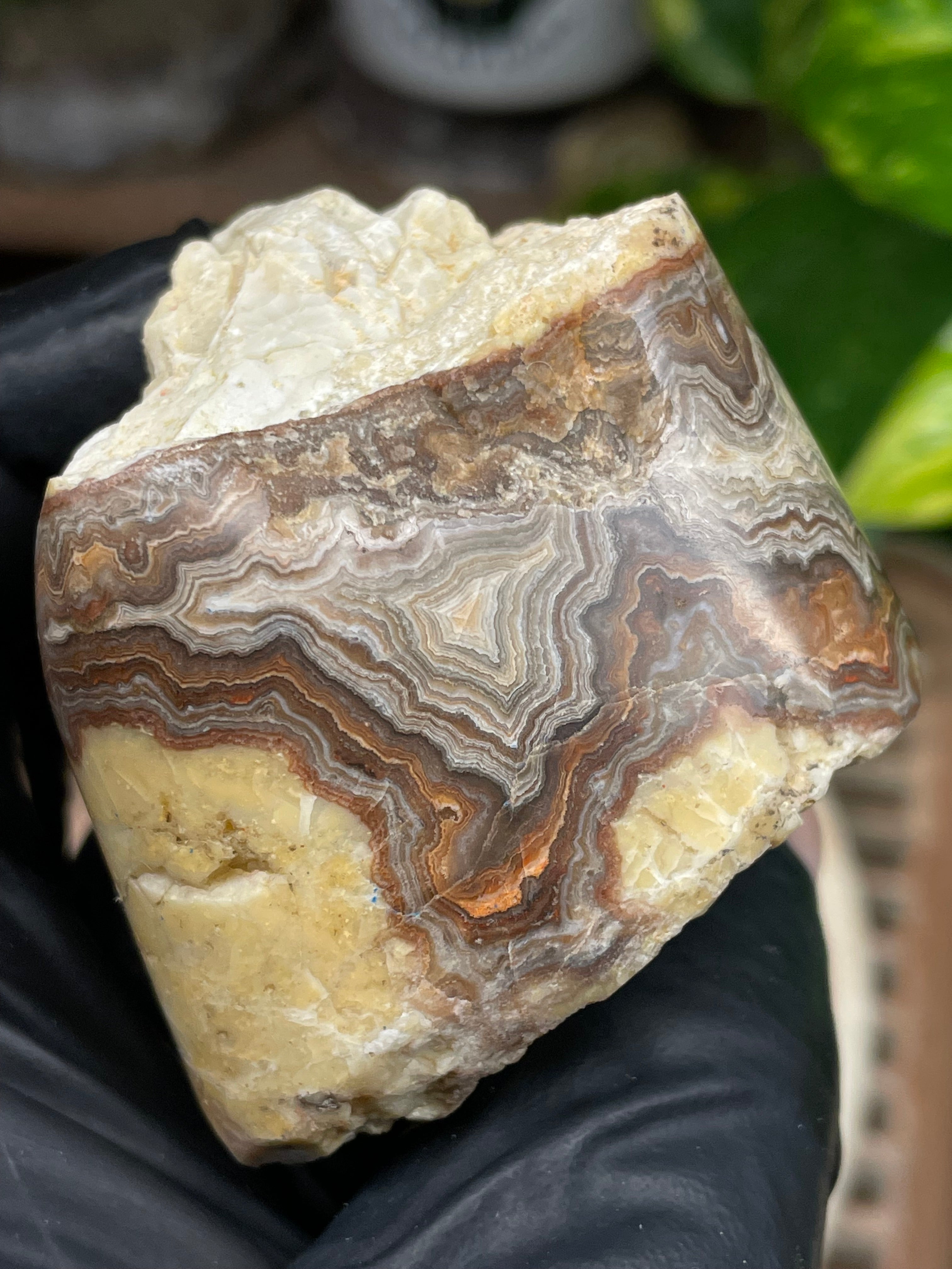 StoneBorn Creations Hand-Polished Banded Lace Agate with Natural Raw Top and Base – Intricate Earth-Toned Banding Freeform Finish