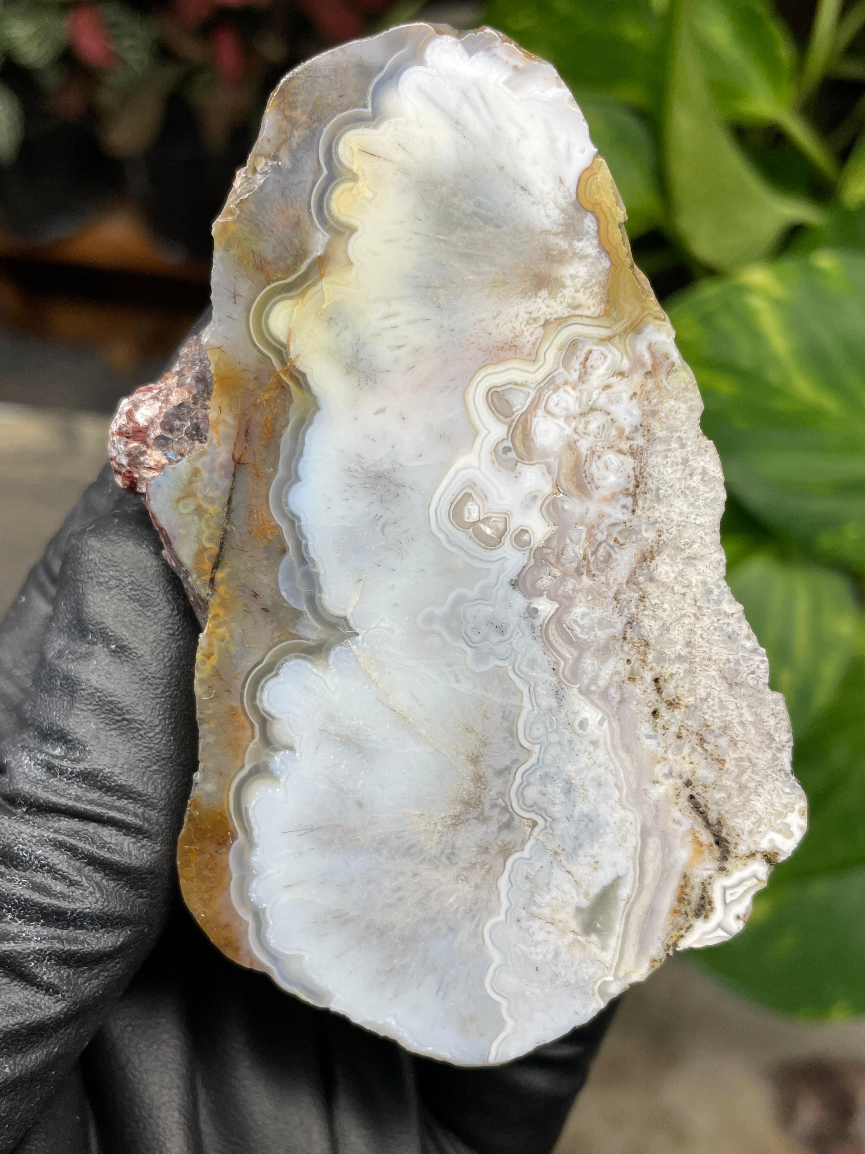 StoneBorn Creations Hand-Polished Agate Pair – Soft White Plume Details, Natural Banding & Raw Earthy Edges