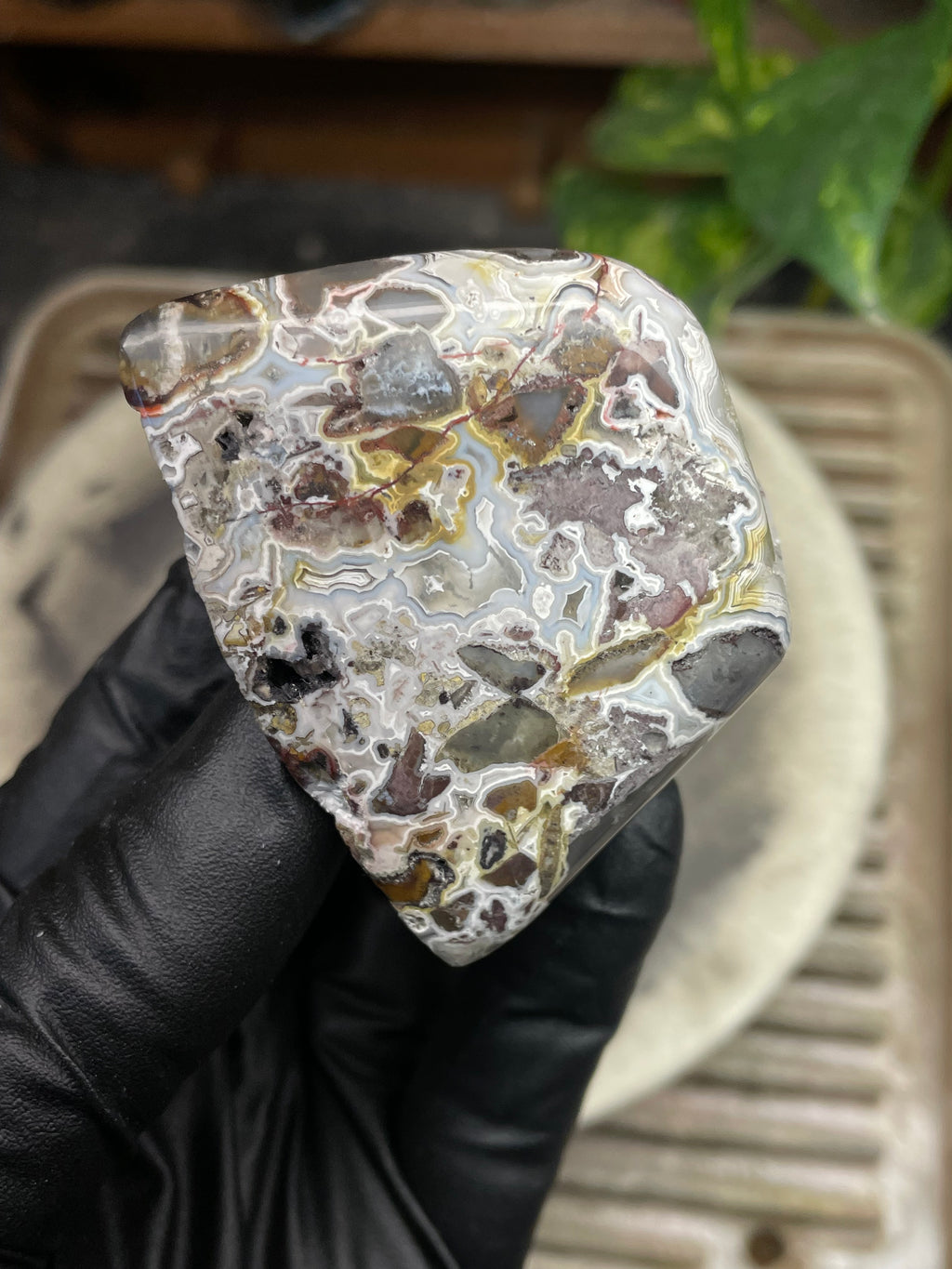 StoneBorn Creations Hand-Polished Agate Freeform with Raw Side & Crystal Pockets