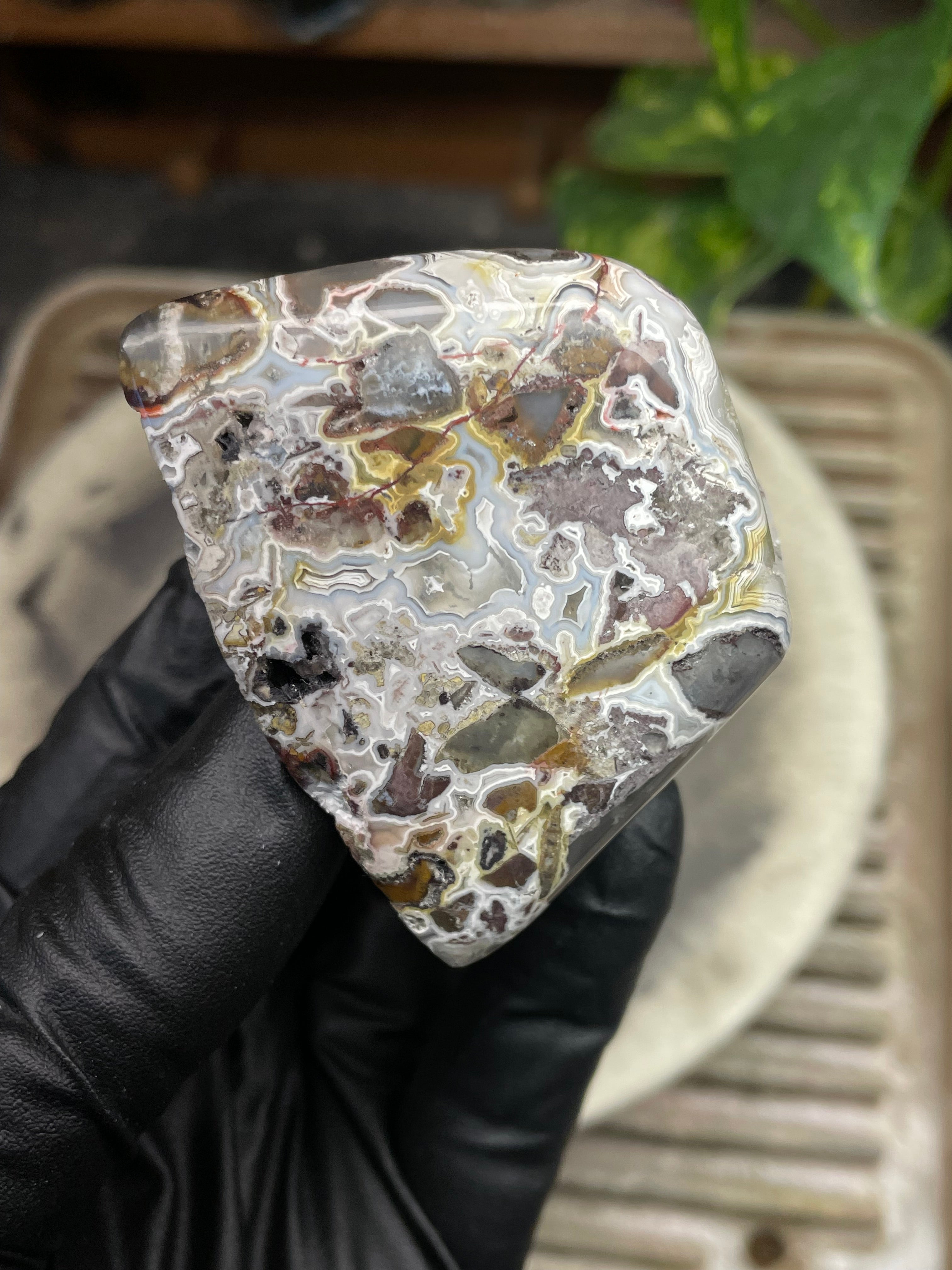 StoneBorn Creations Hand-Polished Agate Freeform with Raw Side & Crystal Pockets