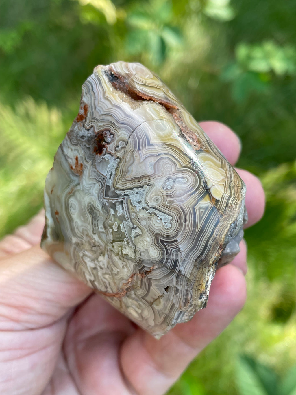 StoneBorn Creations Hand-Polished Lace Agate Freeform with Intricate Fortification Banding, Orbicular Eyes & Natural Druzy Quartz Pocket