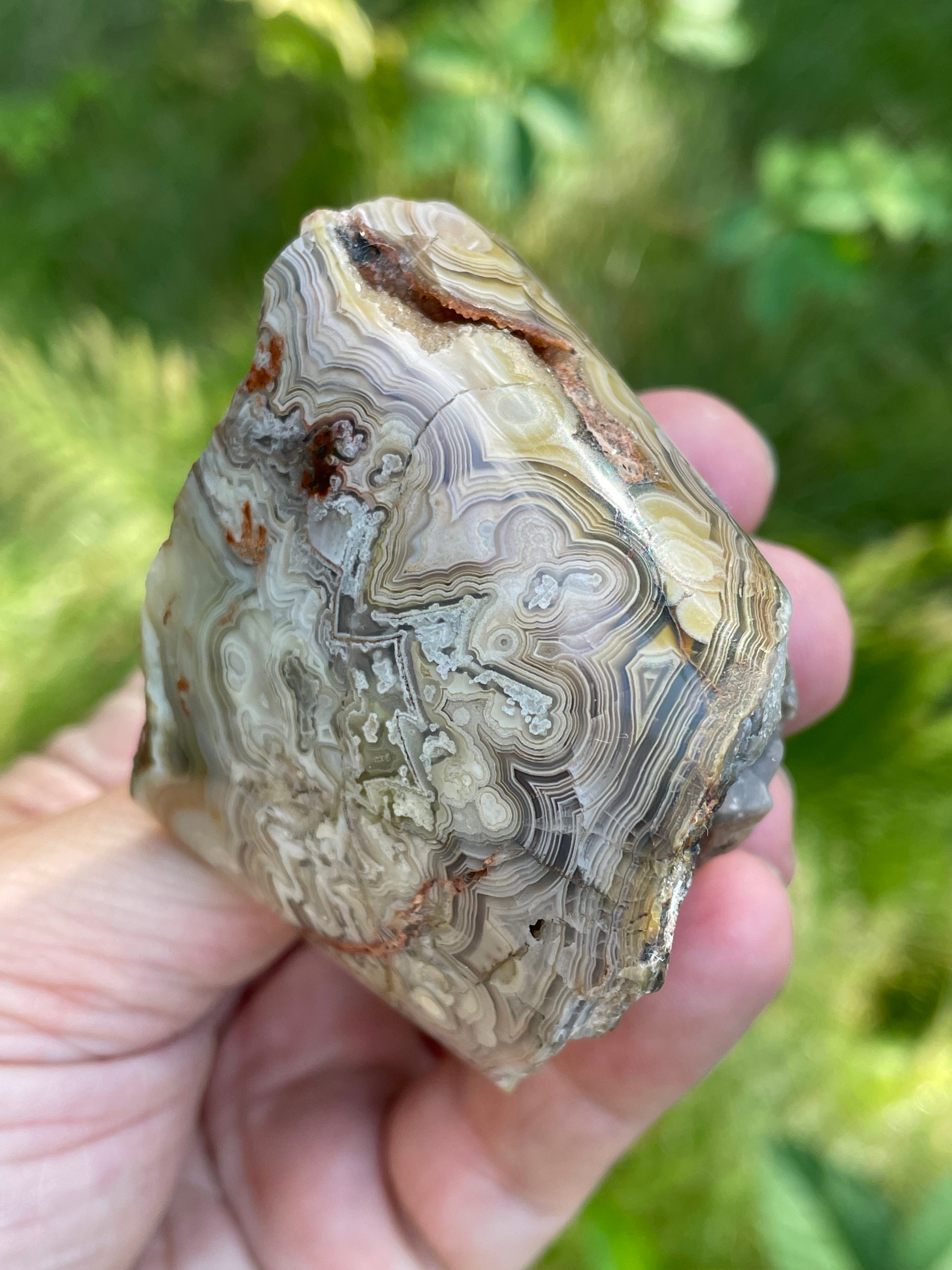 StoneBorn Creations Hand-Polished Lace Agate Freeform with Intricate Fortification Banding, Orbicular Eyes & Natural Druzy Quartz Pocket