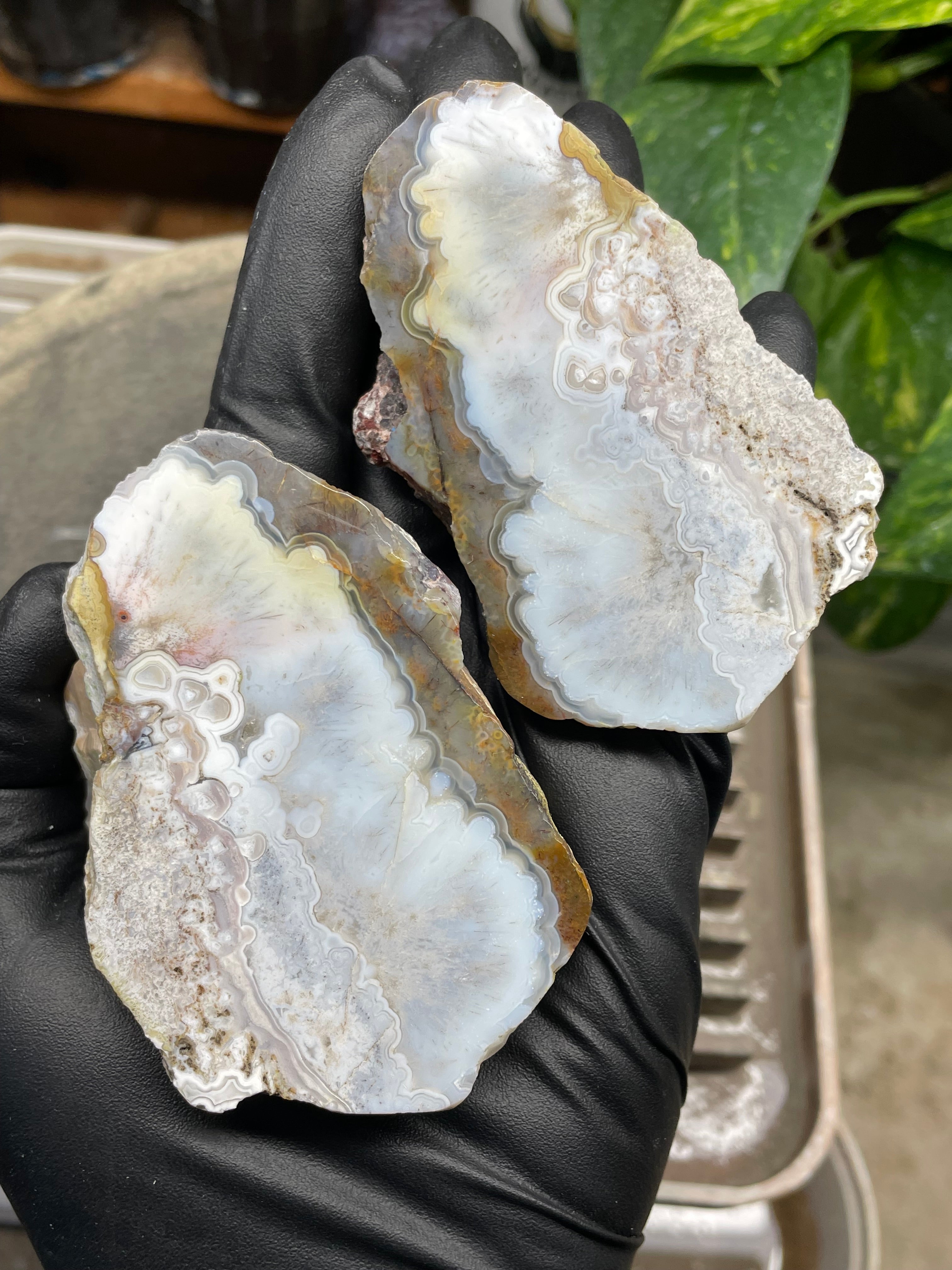 StoneBorn Creations Hand-Polished Agate Pair – Soft White Plume Details, Natural Banding & Raw Earthy Edges