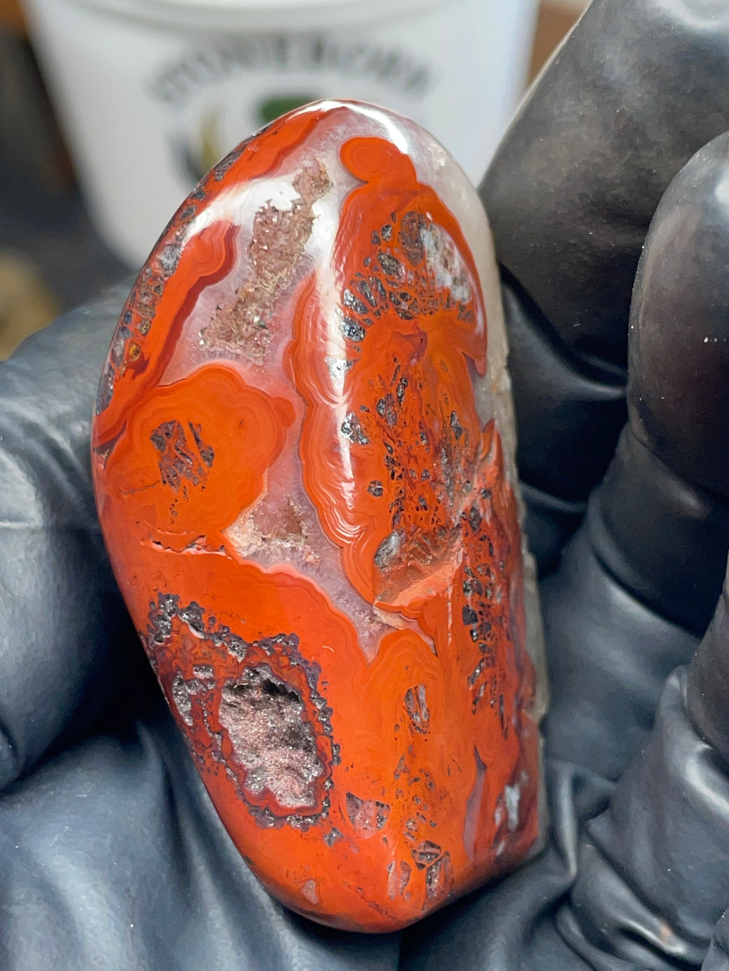 Fire-Pattern Agate with Quartz Pocket | Hand-Polished StoneBorn Creation