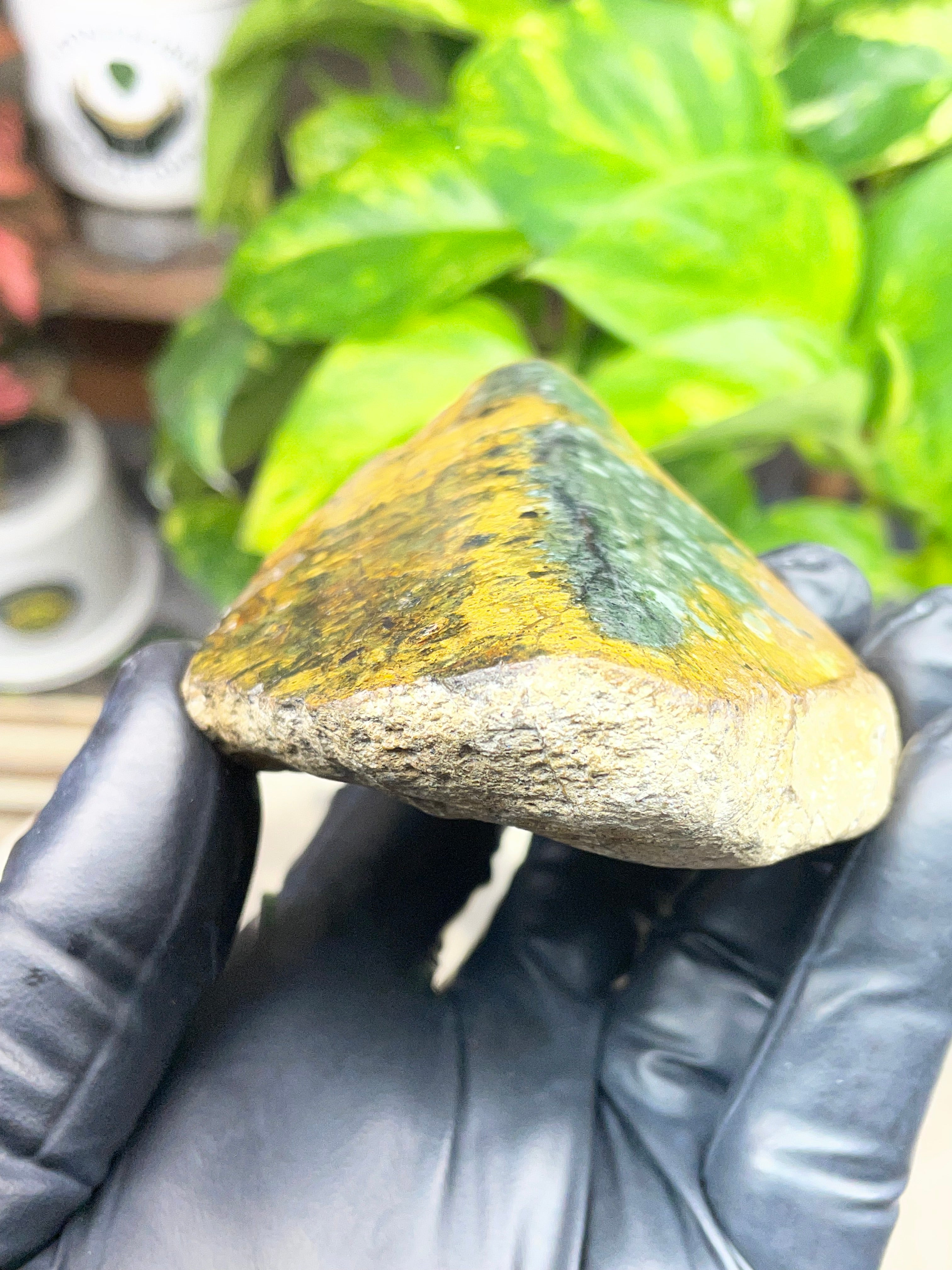 StoneBorn Creations Hand-Polished Vermont Greenstone with Golden Earth Matrix, Speckled Mineral Inclusions & Freeform Curved Finish