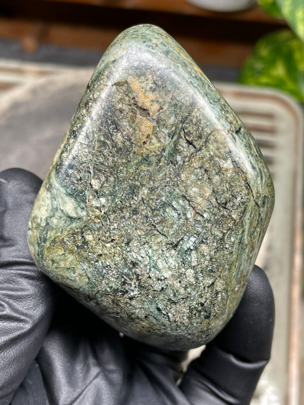 StoneBorn Creations Hand-Polished Vermont River Stone Freeform | Natural Green Mineral Texture Display Stone