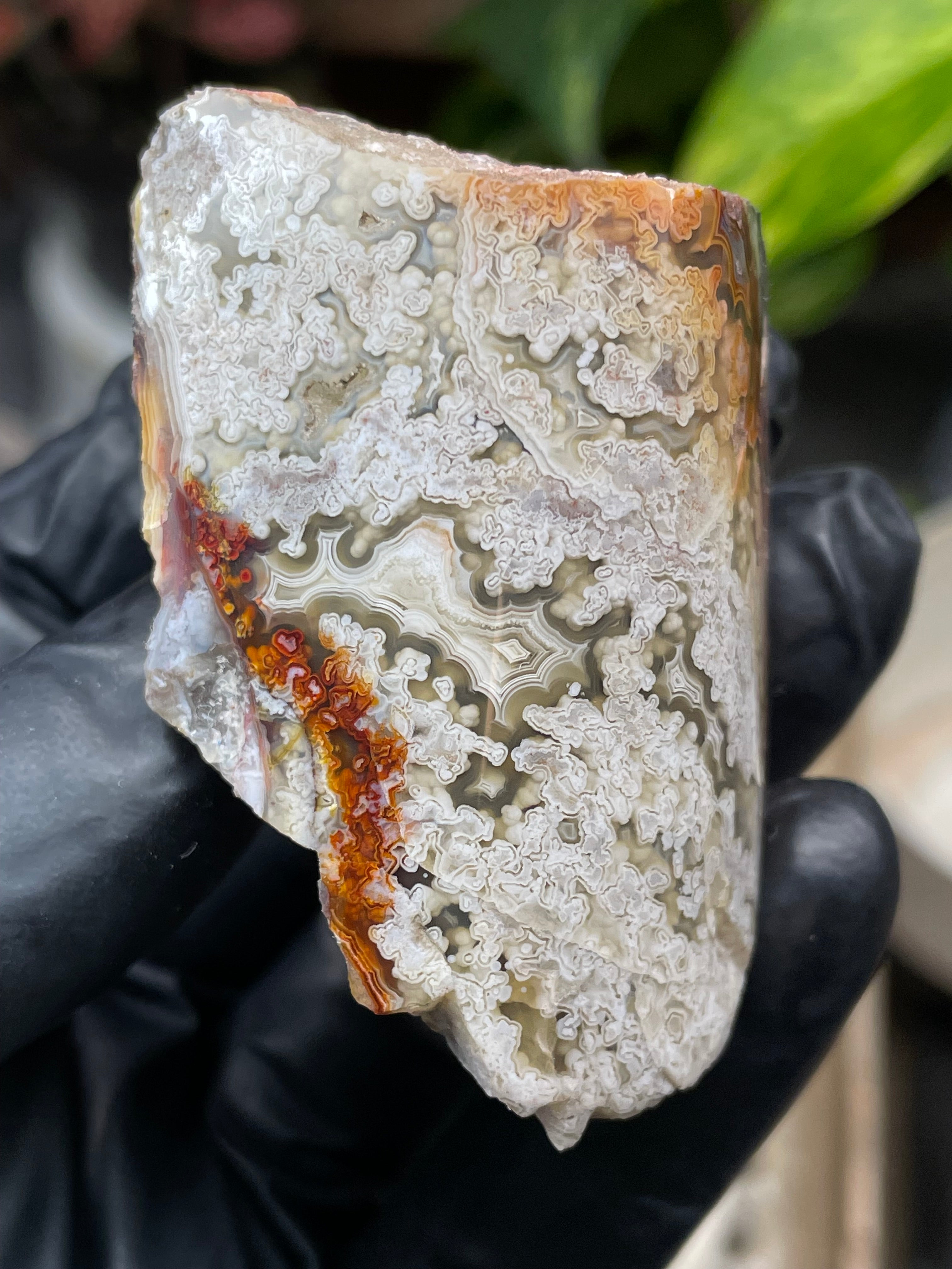 StoneBorn Creations Hand-Polished Lace Agate with Intricate White Plume Banding, Earth Tones & Natural Freeform Finish