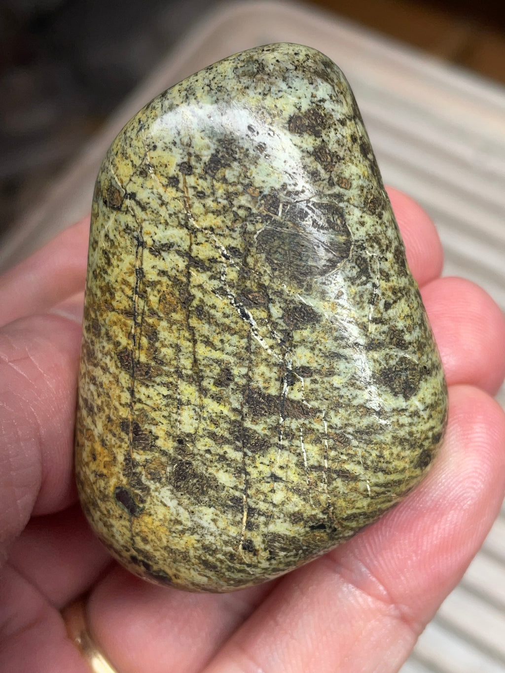 StoneBorn Creations • Hand-Polished Vermont Greenstone (Serpentine) • Moss & Shadow Speckle • Palm Stone