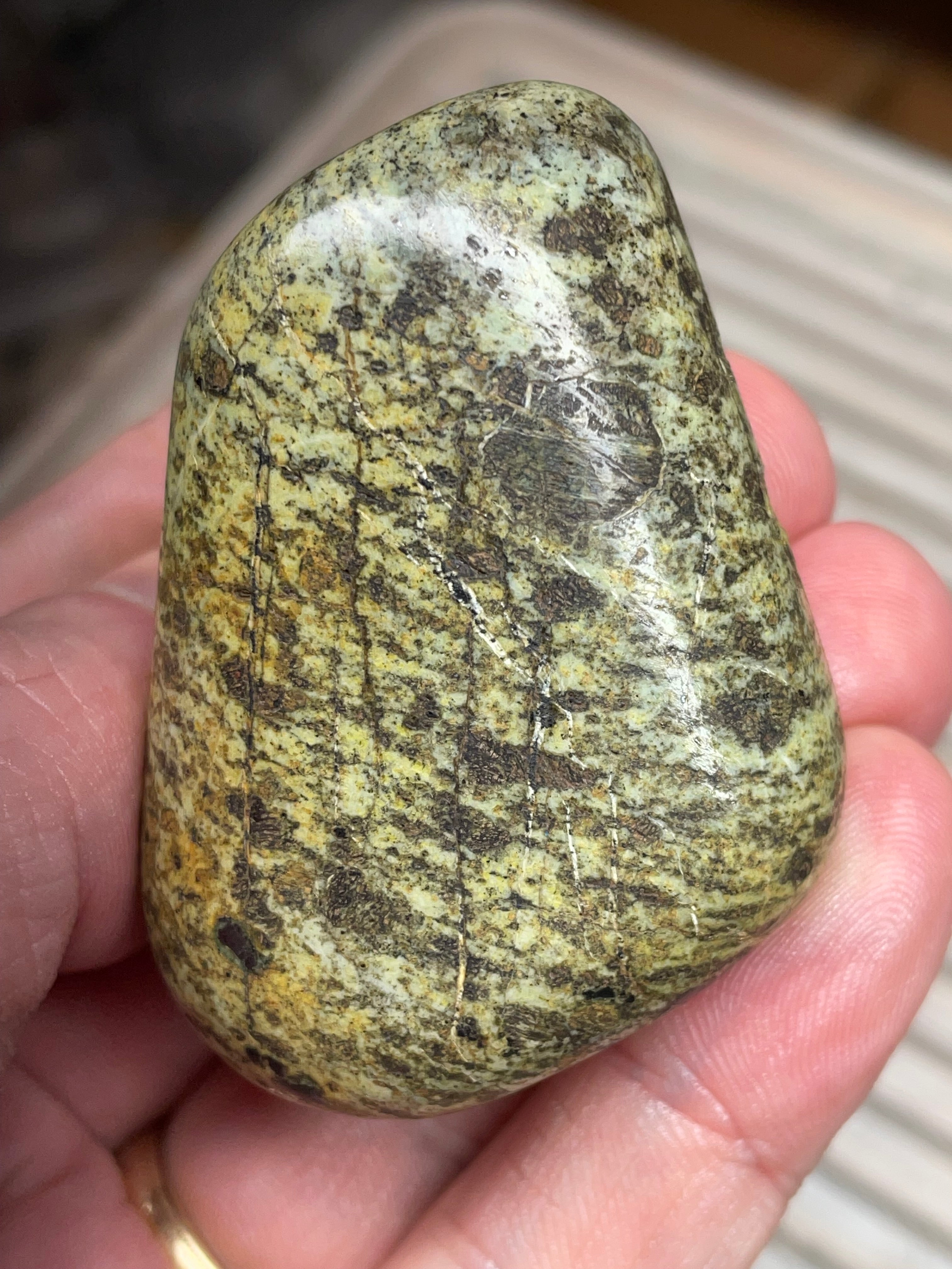 StoneBorn Creations • Hand-Polished Vermont Greenstone (Serpentine) • Moss & Shadow Speckle • Palm Stone