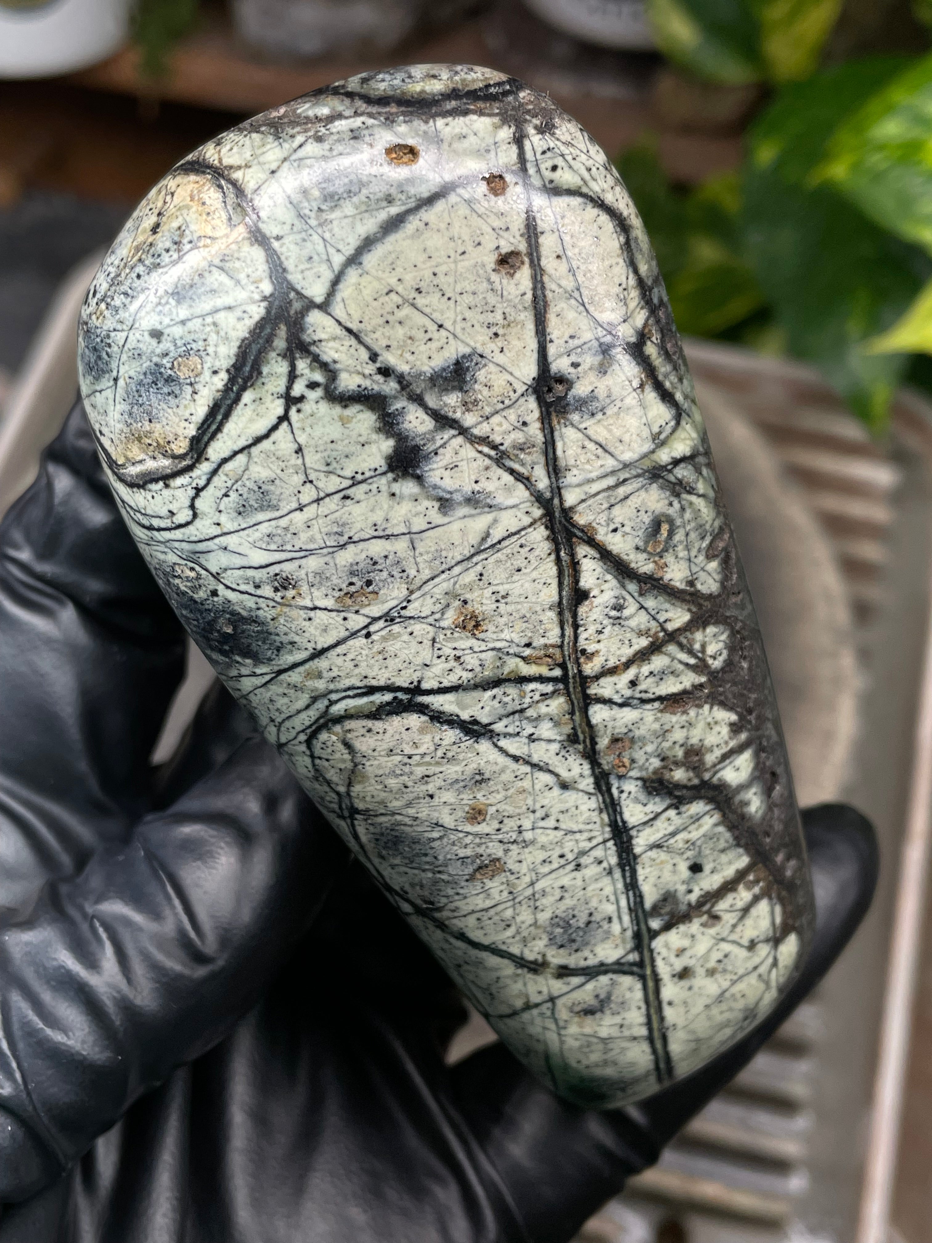 StoneBorn Creations Hand-Polished Vermont Serpentine with Spiderweb Veining, Soft Ivory Green Tones, and Natural Earth Markings