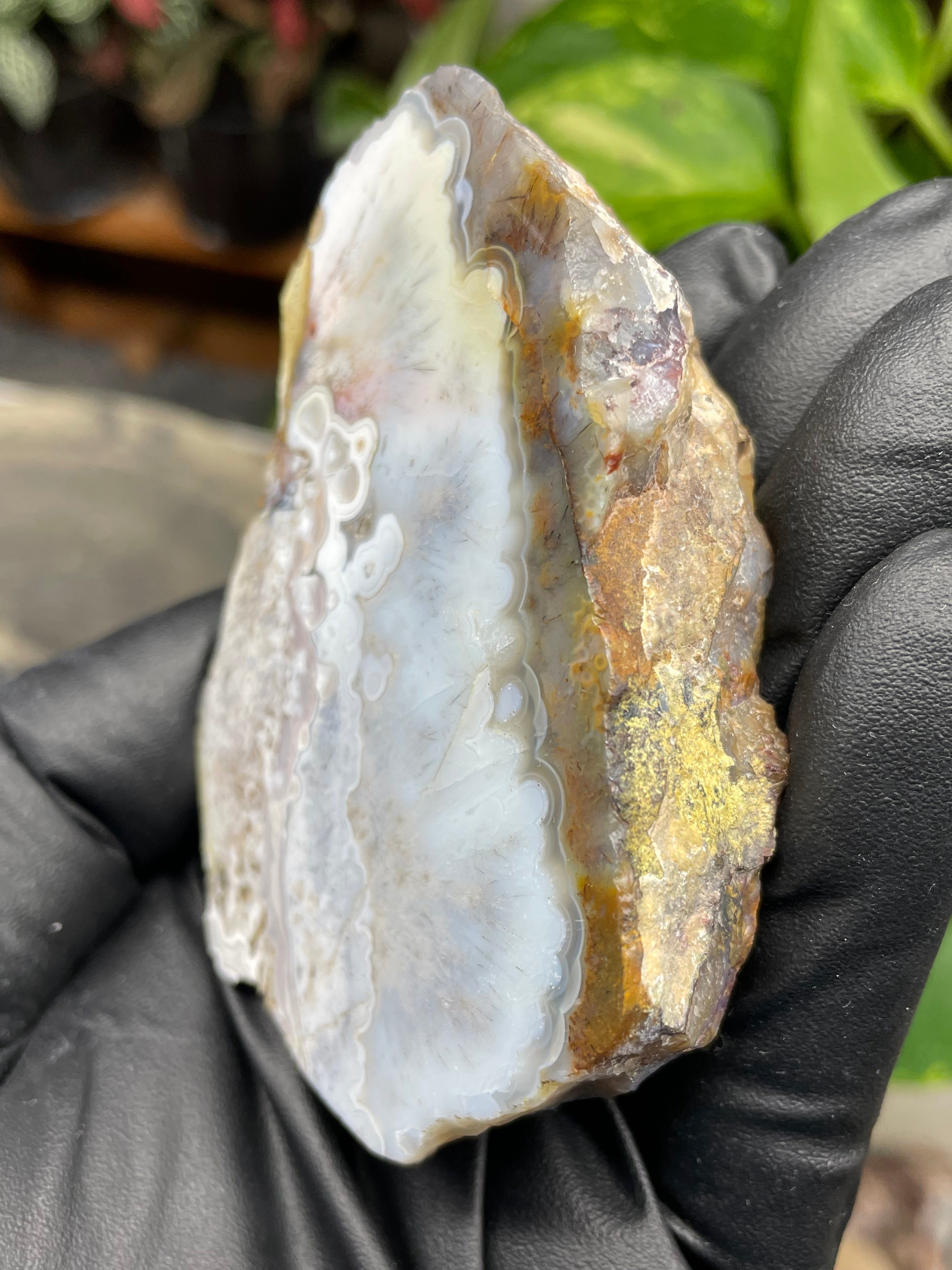 StoneBorn Creations Hand-Polished Agate Pair – Soft White Plume Details, Natural Banding & Raw Earthy Edges
