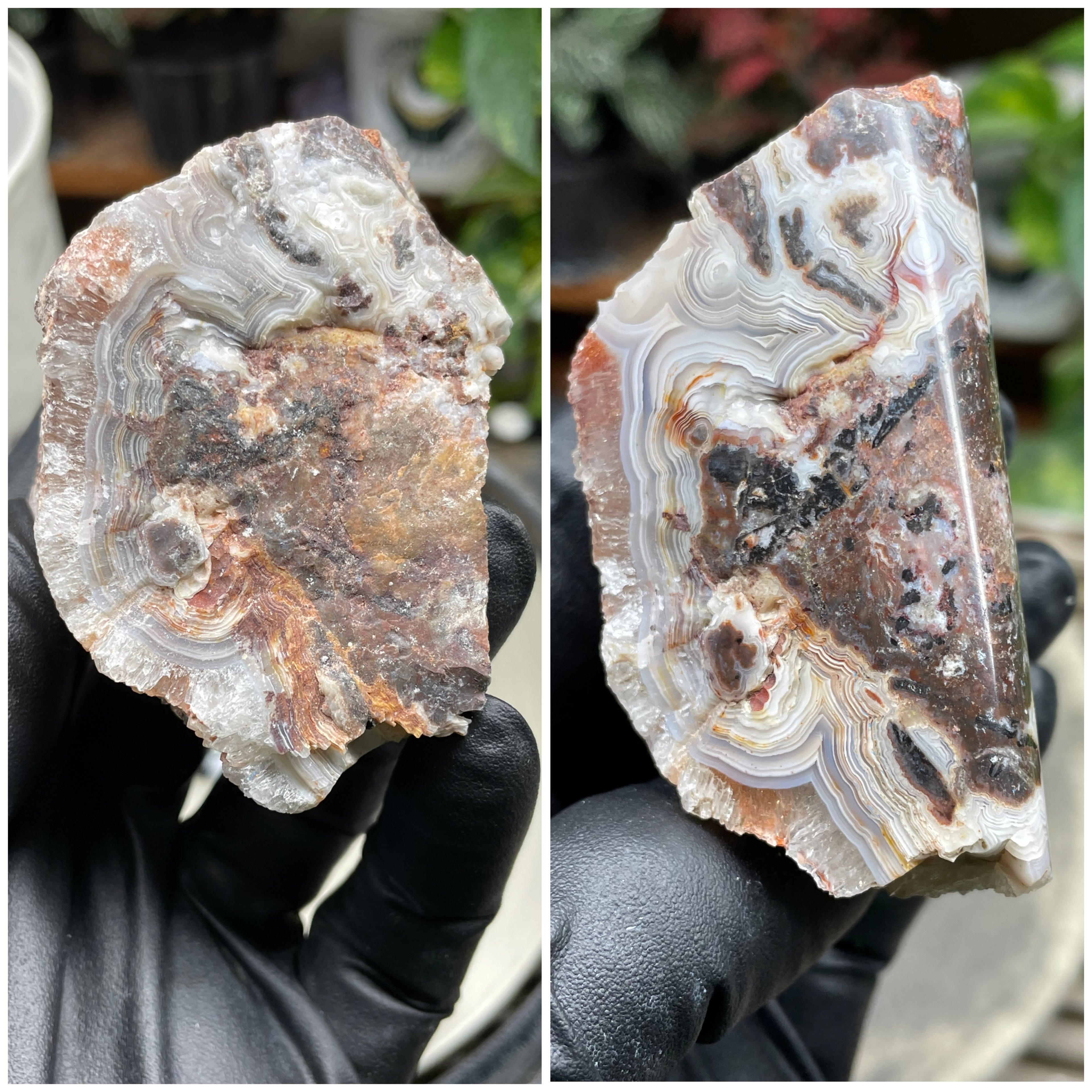 StoneBorn Creations Hand-Polished Lace Agate Freeform with Curved Polished Face, Intricate Fortification Banding & Natural Druzy Crystal Backing
