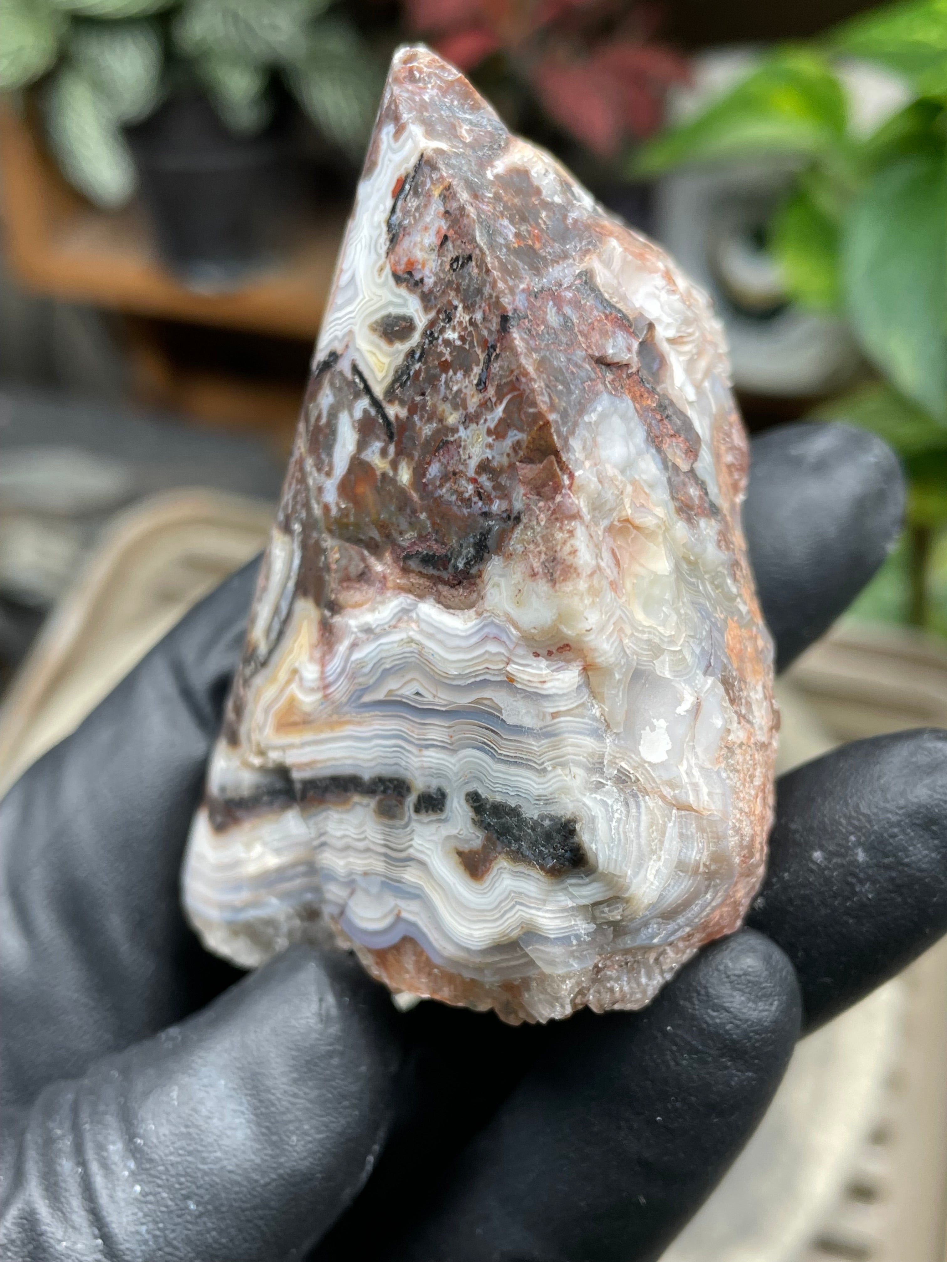 StoneBorn Creations Hand-Polished Lace Agate Freeform with Curved Polished Face, Intricate Fortification Banding & Natural Druzy Crystal Backing