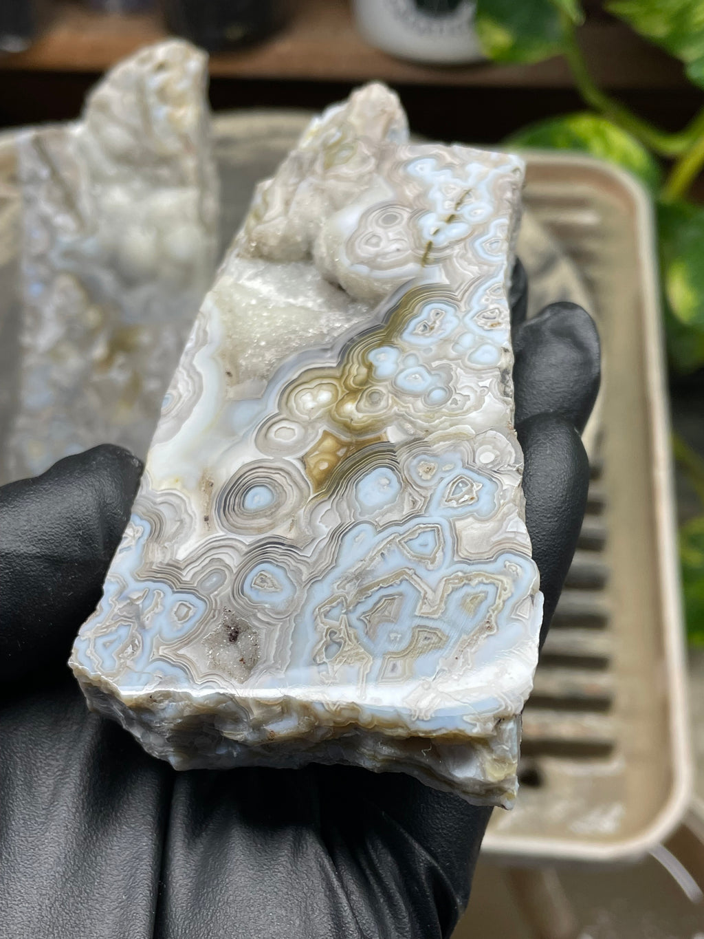 StoneBorn Creations Hand-Polished Lace Agate Pair – River Cut Matching Display Halves with Druzy Crystal Pockets & Intricate Natural Banding