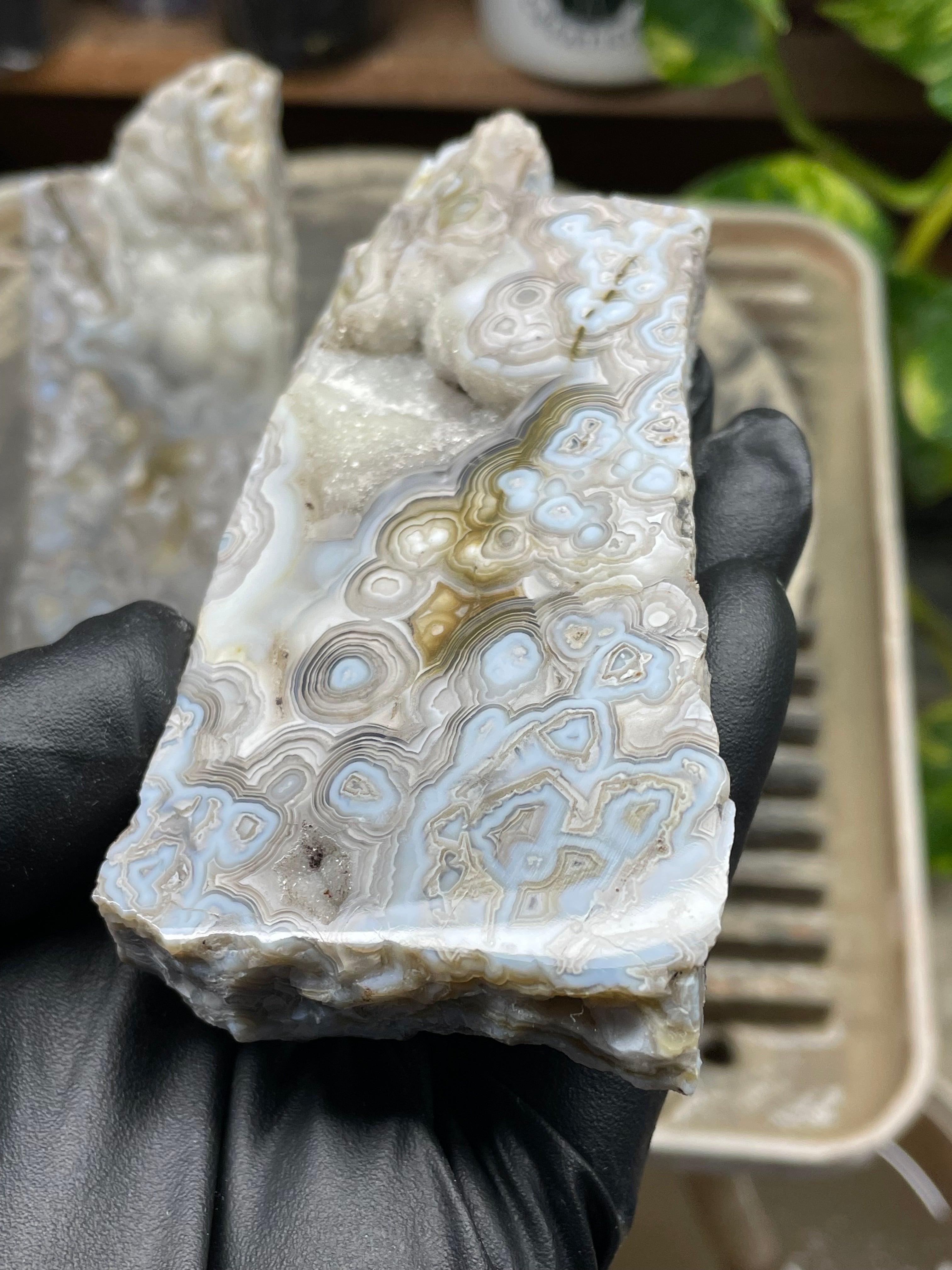 StoneBorn Creations Hand-Polished Lace Agate Pair – River Cut Matching Display Halves with Druzy Crystal Pockets & Intricate Natural Banding