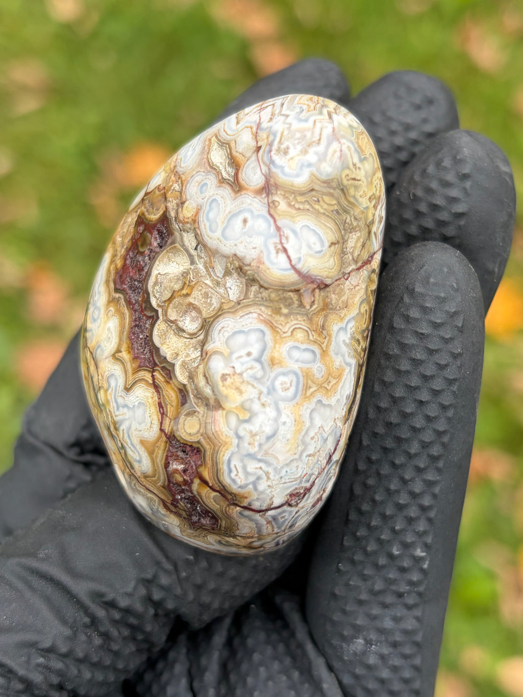 StoneBorn Creations – Crazy Lace Agate | Intricate Blue, Cream & Golden Banding | Hand-Polished Natural Stone