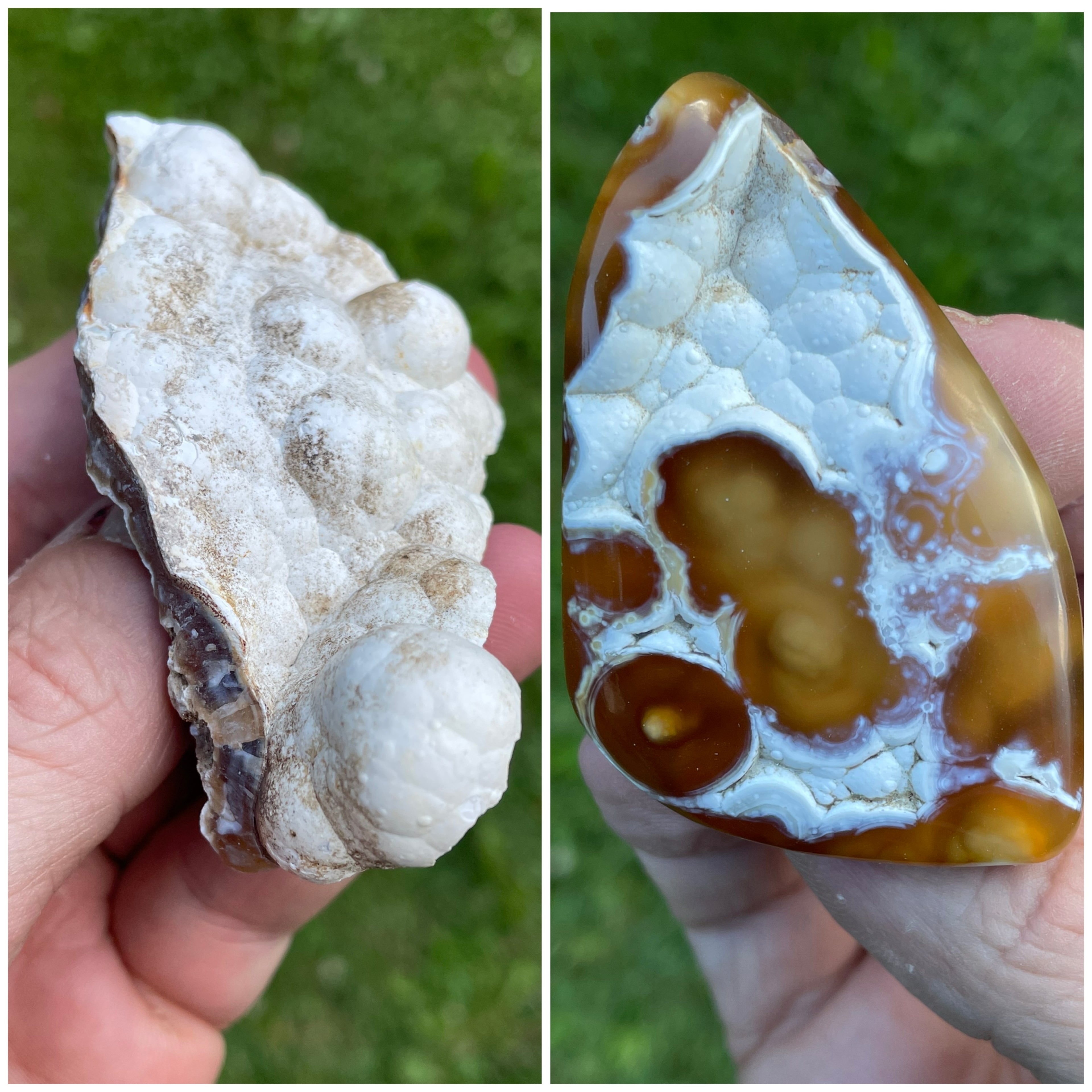 StoneBorn Creations Hand-Polished Agatized Coral Freeform with Amber Chalcedony, Orbicular Eyes & UV Fluorescence