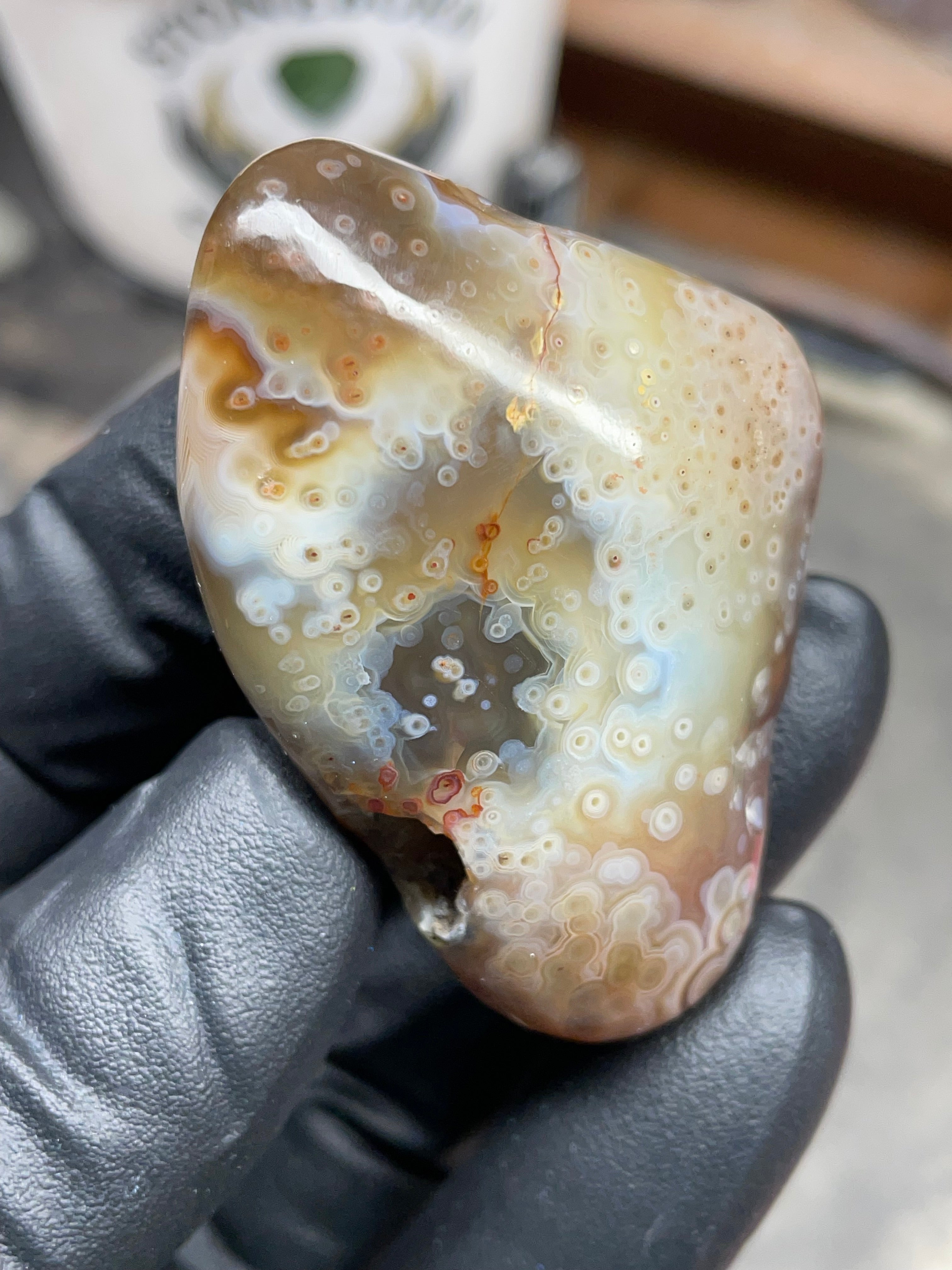 StoneBorn Creations Hand-Polished Botswana Agate – Orbicular “Eye” Patterns with Natural Pocket