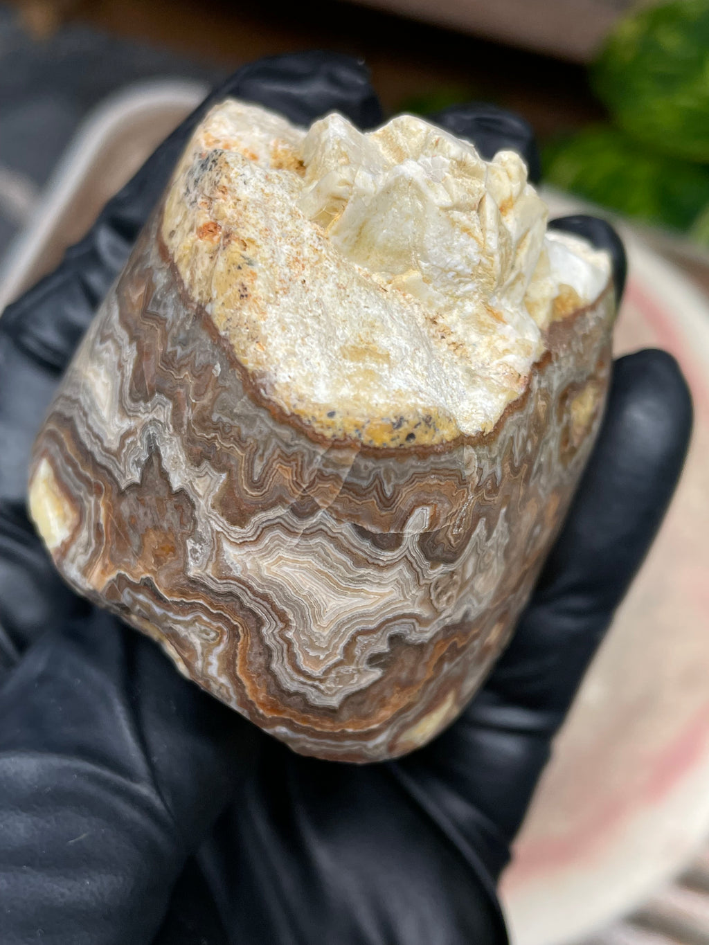 StoneBorn Creations Hand-Polished Banded Lace Agate with Natural Raw Top and Base – Intricate Earth-Toned Banding Freeform Finish