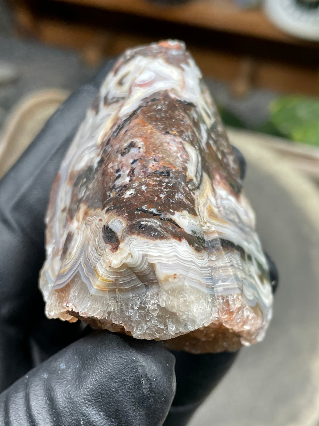 StoneBorn Creations Hand-Polished Lace Agate Freeform with Curved Polished Face, Intricate Fortification Banding & Natural Druzy Crystal Backing